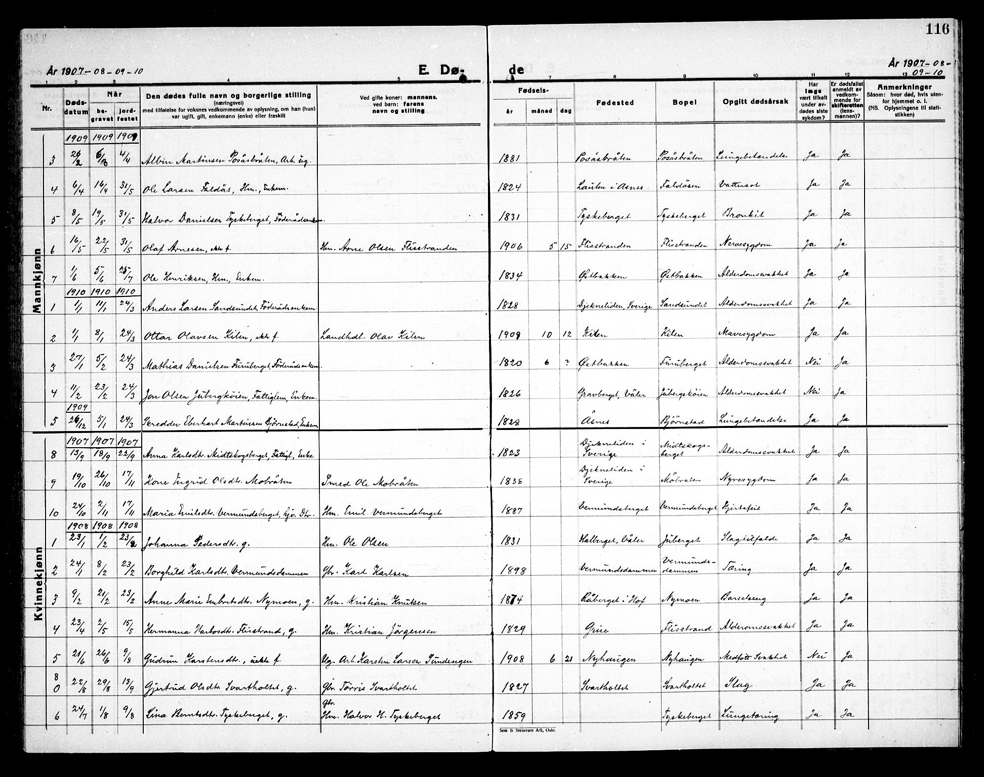 Åsnes prestekontor, AV/SAH-PREST-042/H/Ha/Haa/L0000E: Parish register (official) no. 0C, 1890-1929, p. 116