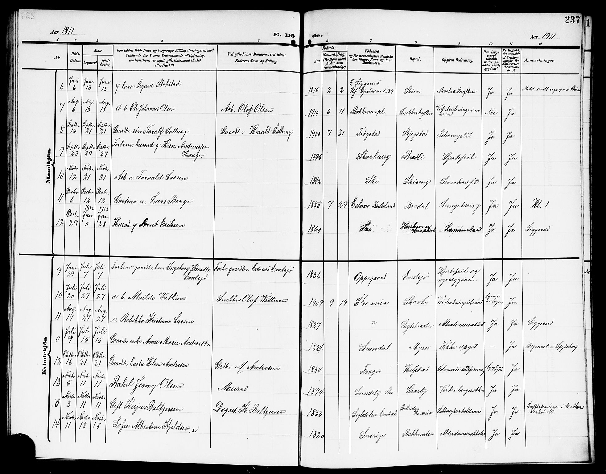 Kråkstad prestekontor Kirkebøker, SAO/A-10125a/G/Gb/L0001: Parish register (copy) no. II 1, 1905-1920, p. 237