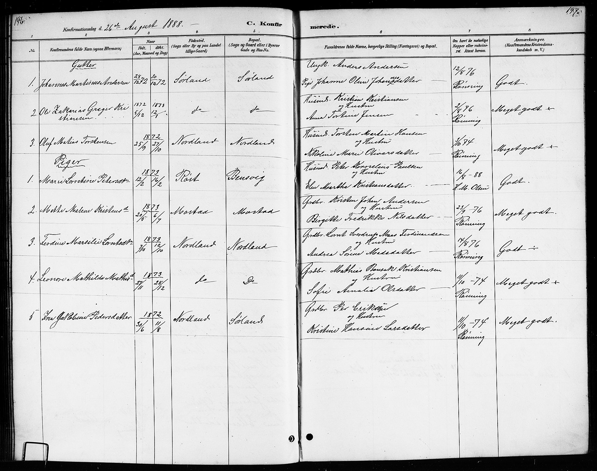 Ministerialprotokoller, klokkerbøker og fødselsregistre - Nordland, AV/SAT-A-1459/807/L0123: Parish register (copy) no. 807C01, 1884-1910, p. 196-197