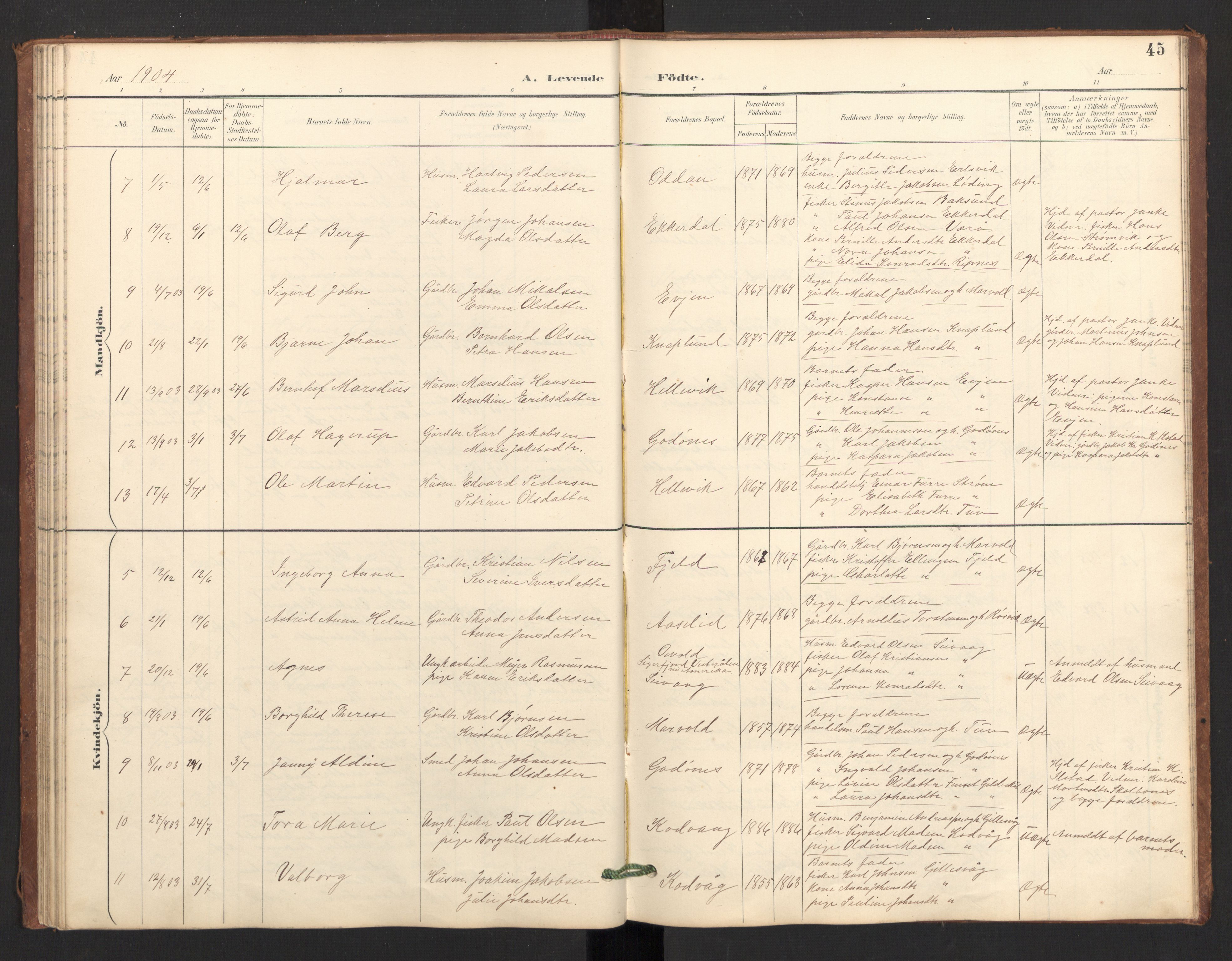 Ministerialprotokoller, klokkerbøker og fødselsregistre - Nordland, AV/SAT-A-1459/804/L0087: Parish register (official) no. 804A08, 1894-1907, p. 45