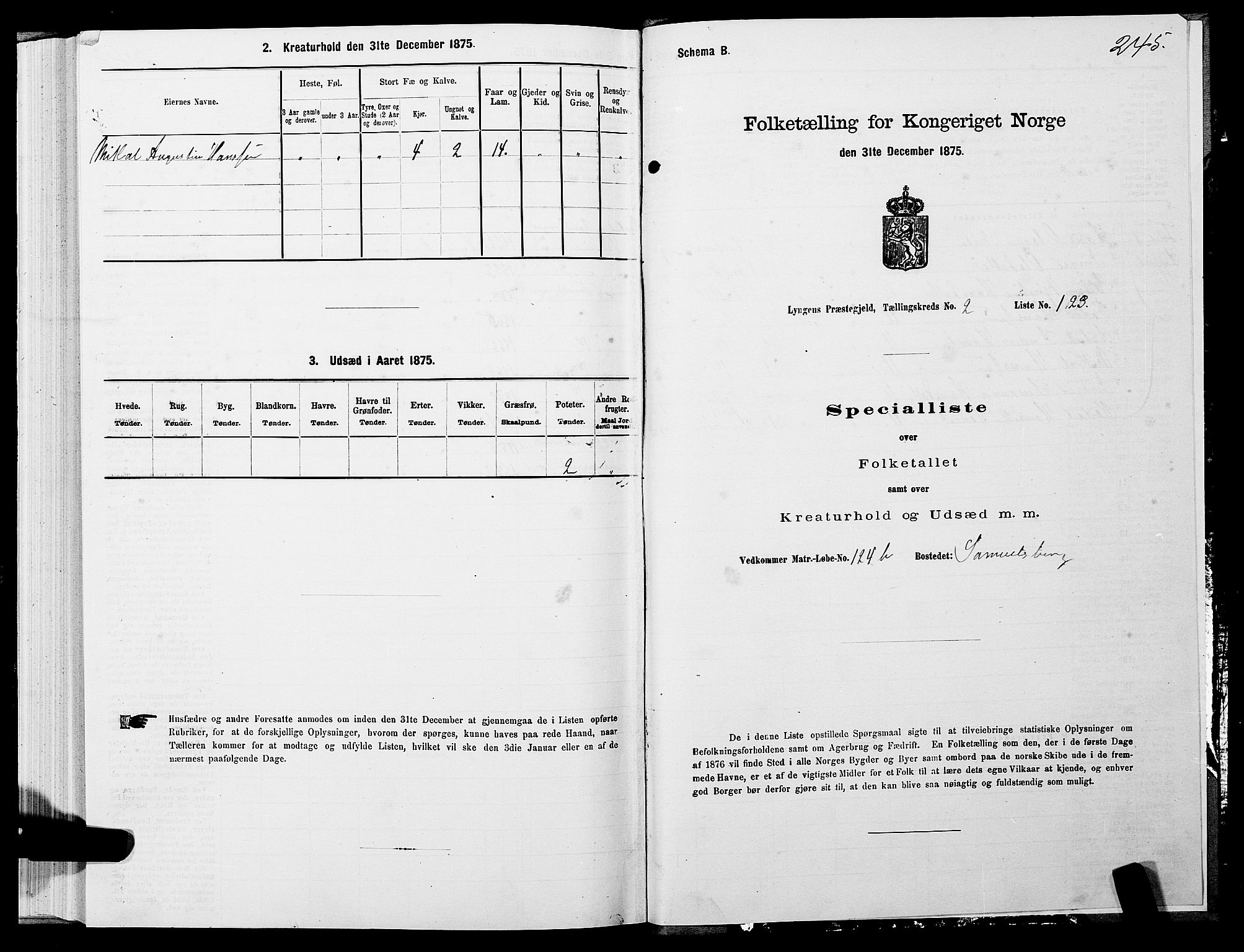 SATØ, 1875 census for 1938P Lyngen, 1875, p. 2245