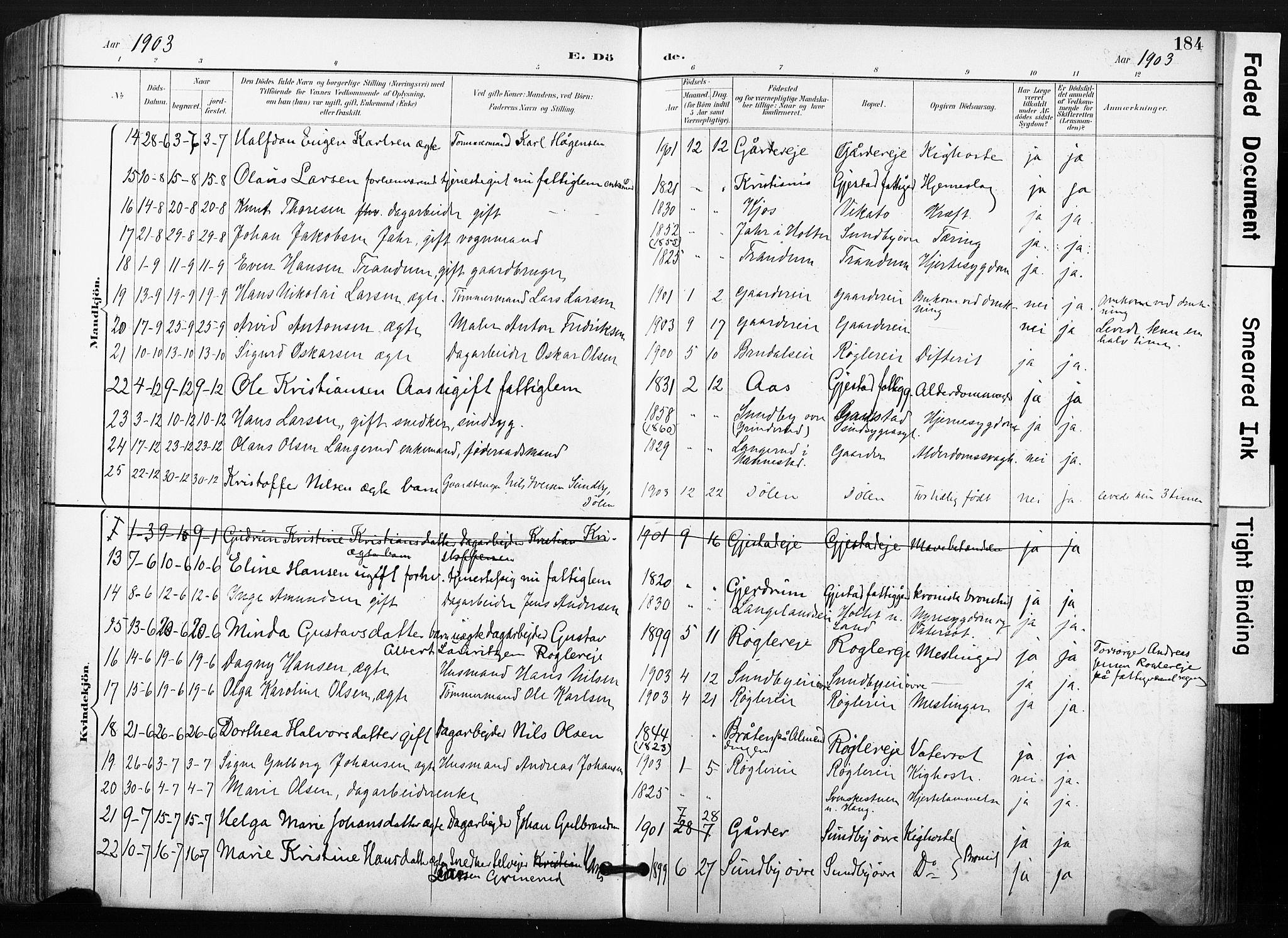 Ullensaker prestekontor Kirkebøker, AV/SAO-A-10236a/F/Fb/L0002: Parish register (official) no. II 2, 1894-1909, p. 184