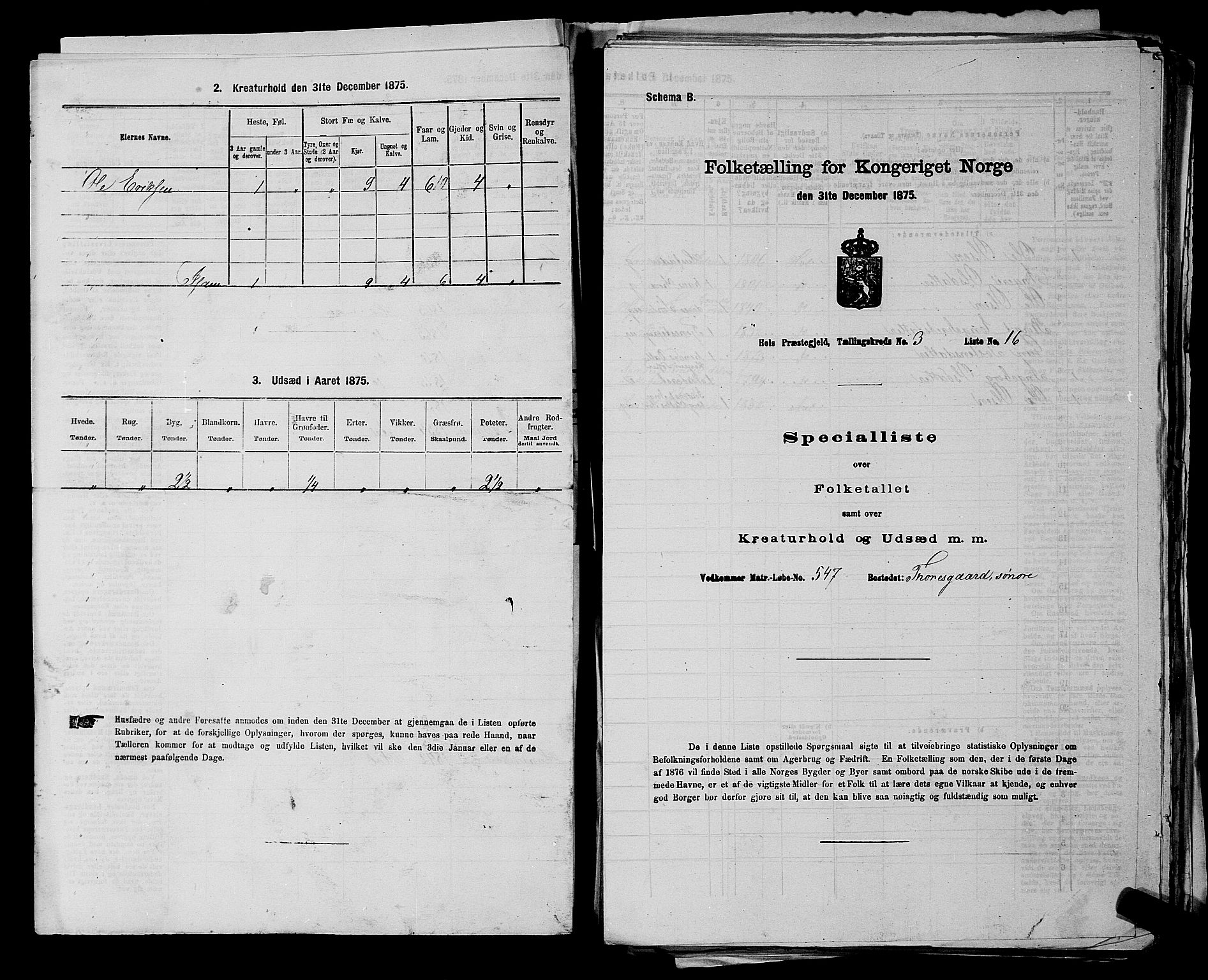 SAKO, 1875 census for 0620P Hol, 1875, p. 310