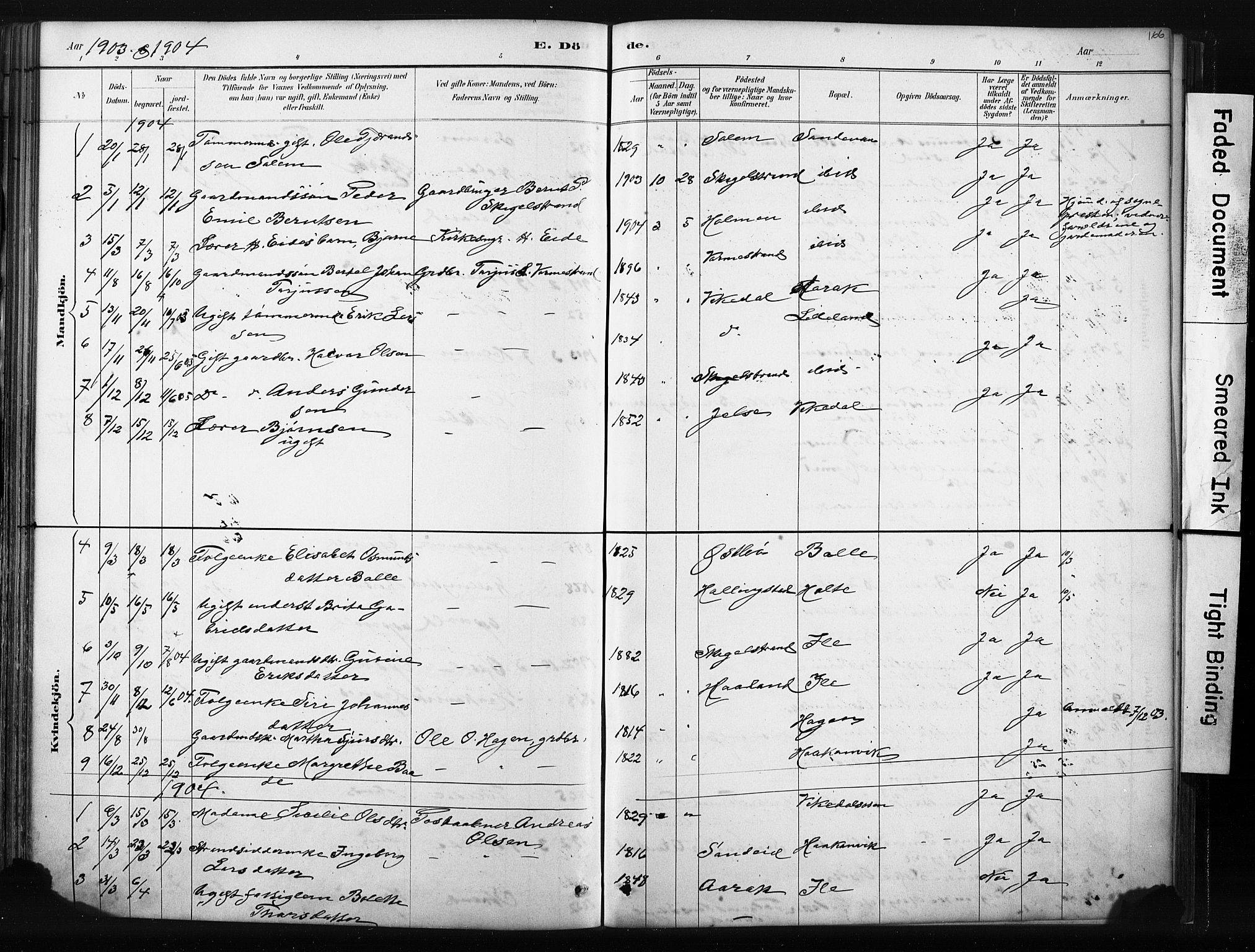 Vikedal sokneprestkontor, AV/SAST-A-101840/01/IV: Parish register (official) no. A 10, 1884-1907, p. 166