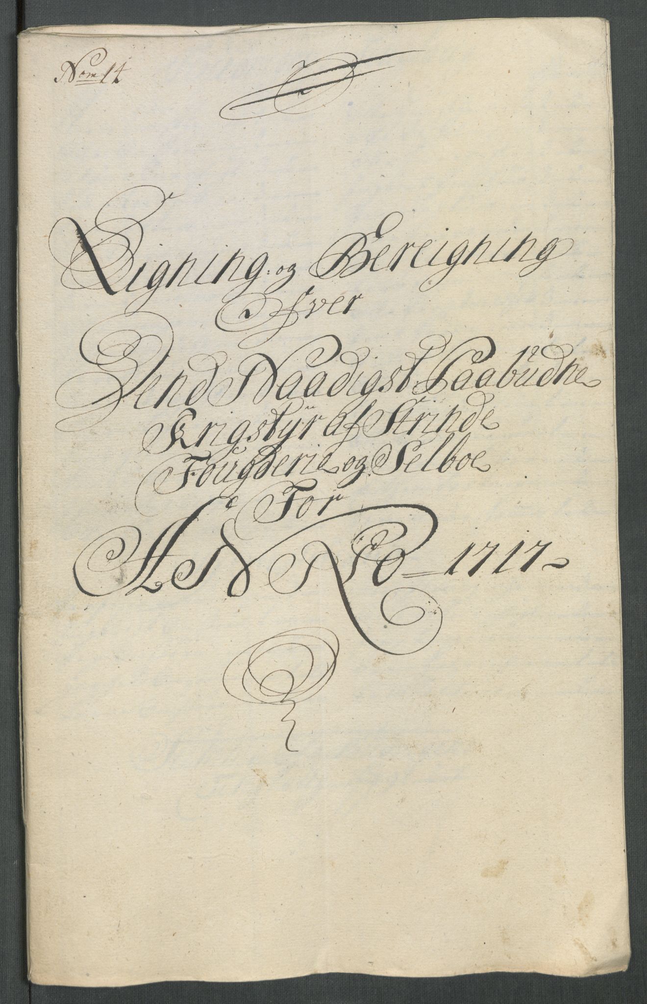 Rentekammeret inntil 1814, Reviderte regnskaper, Fogderegnskap, RA/EA-4092/R61/L4116: Fogderegnskap Strinda og Selbu, 1717-1718, p. 131