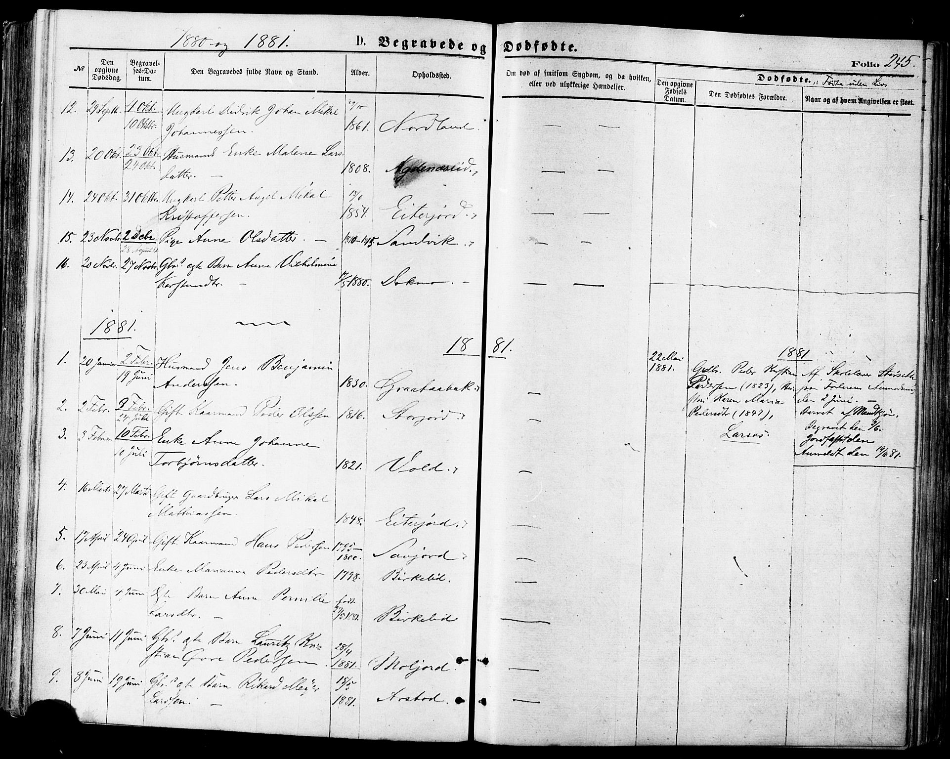 Ministerialprotokoller, klokkerbøker og fødselsregistre - Nordland, AV/SAT-A-1459/846/L0645: Parish register (official) no. 846A03, 1872-1886, p. 245