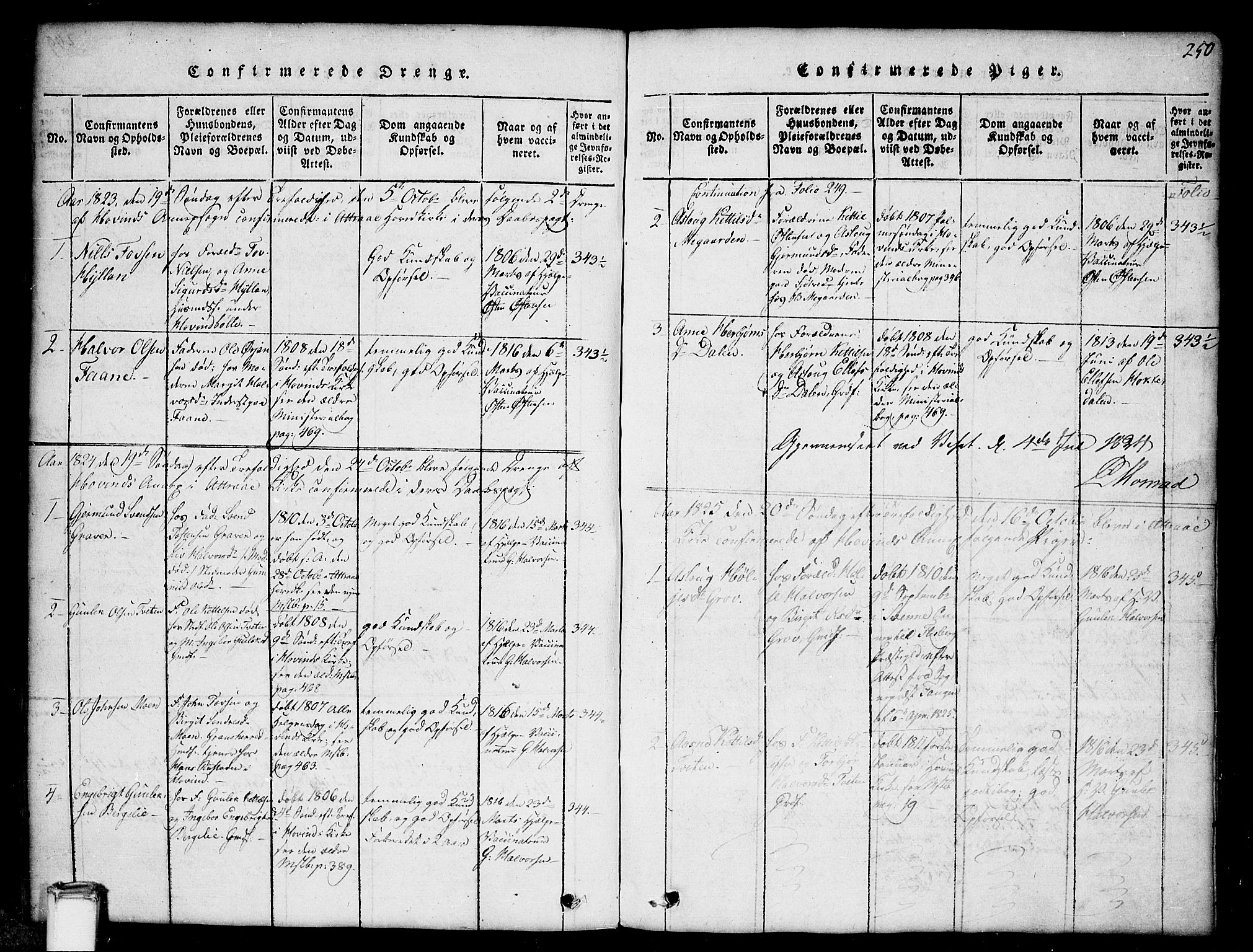 Gransherad kirkebøker, SAKO/A-267/G/Gb/L0001: Parish register (copy) no. II 1, 1815-1860, p. 250