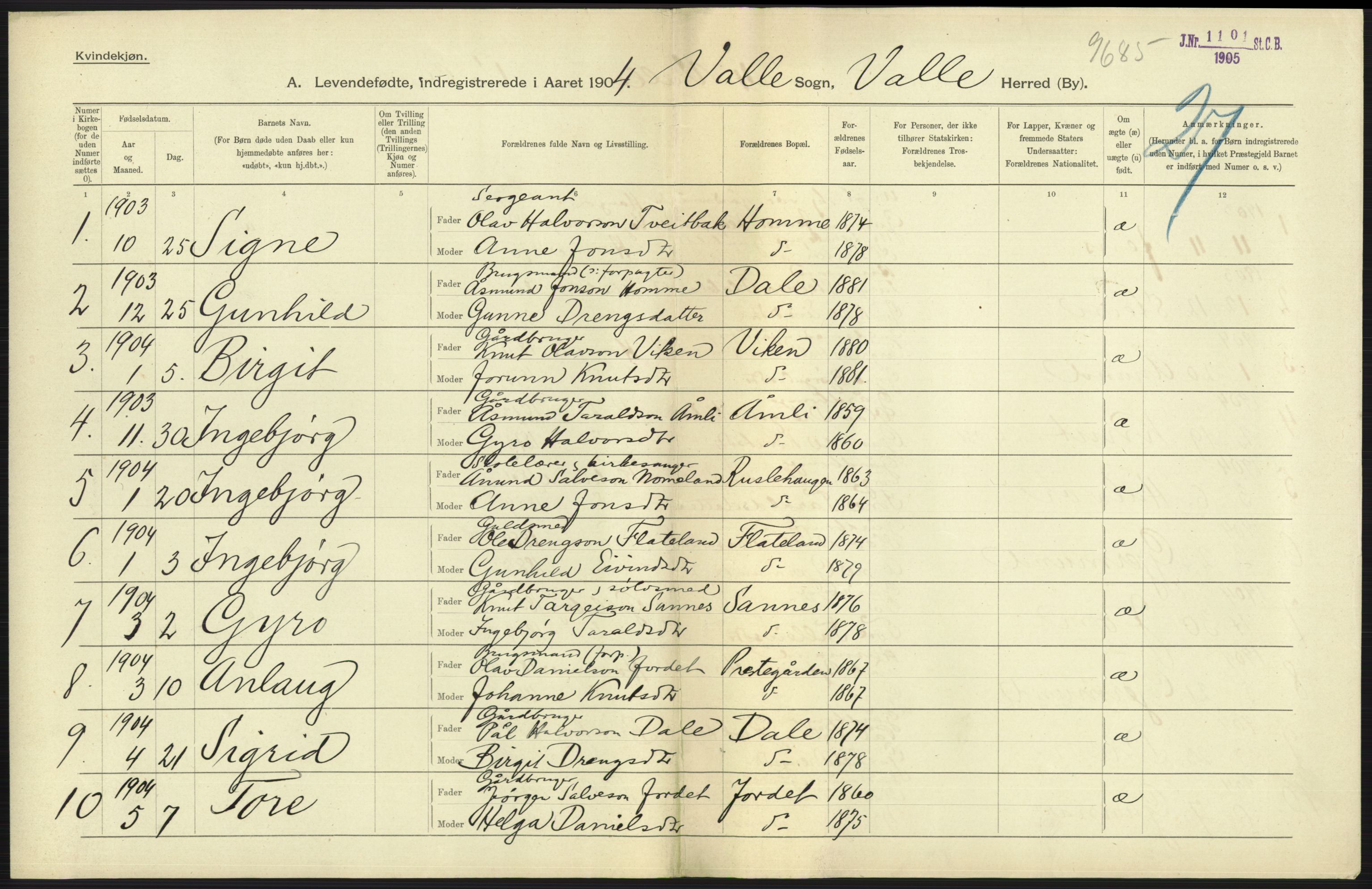 Statistisk sentralbyrå, Sosiodemografiske emner, Befolkning, AV/RA-S-2228/D/Df/Dfa/Dfab/L0010: Nedenes amt: Fødte, gifte, døde, 1904, p. 241