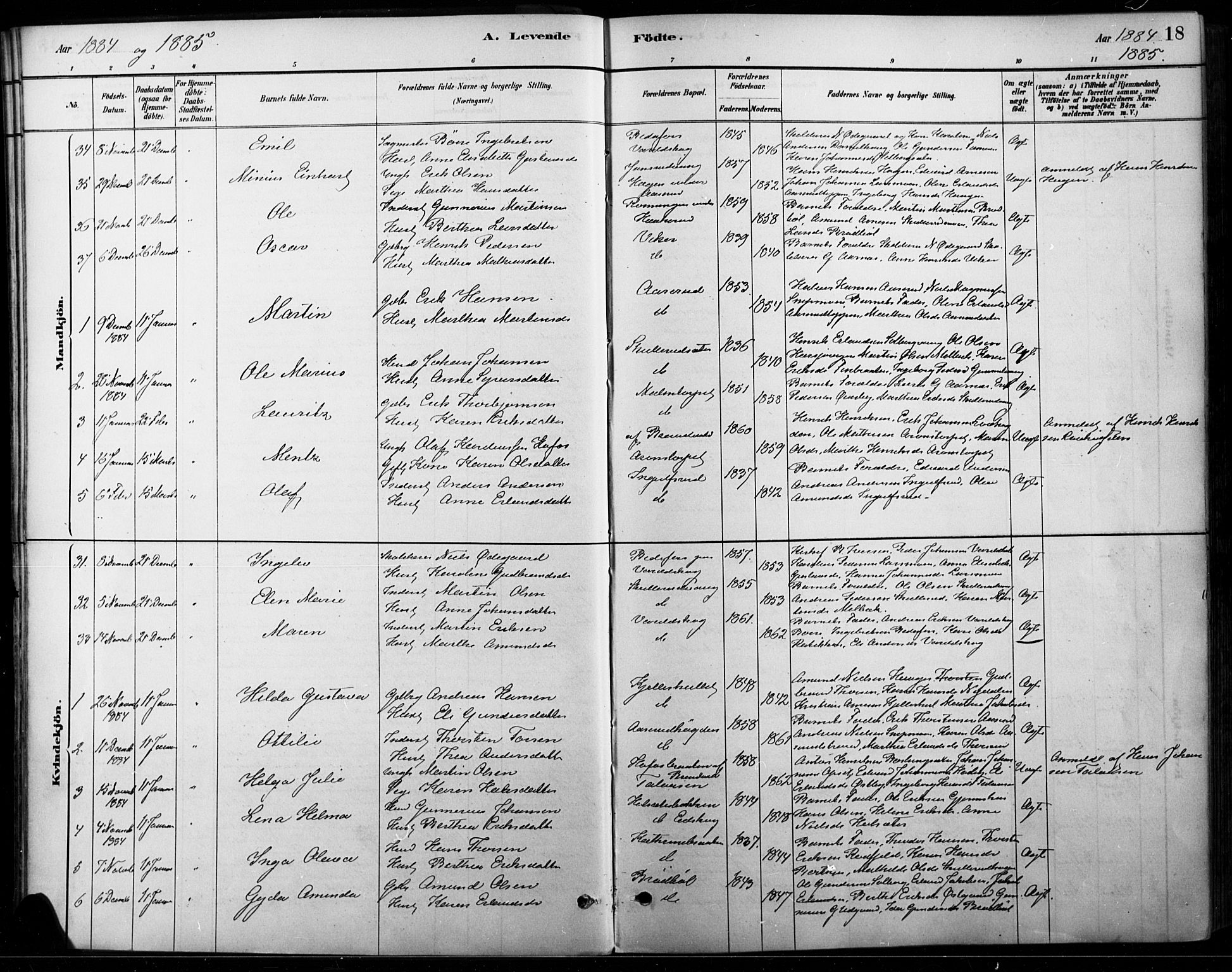 Vinger prestekontor, AV/SAH-PREST-024/H/Ha/Haa/L0015: Parish register (official) no. 15, 1881-1900, p. 18