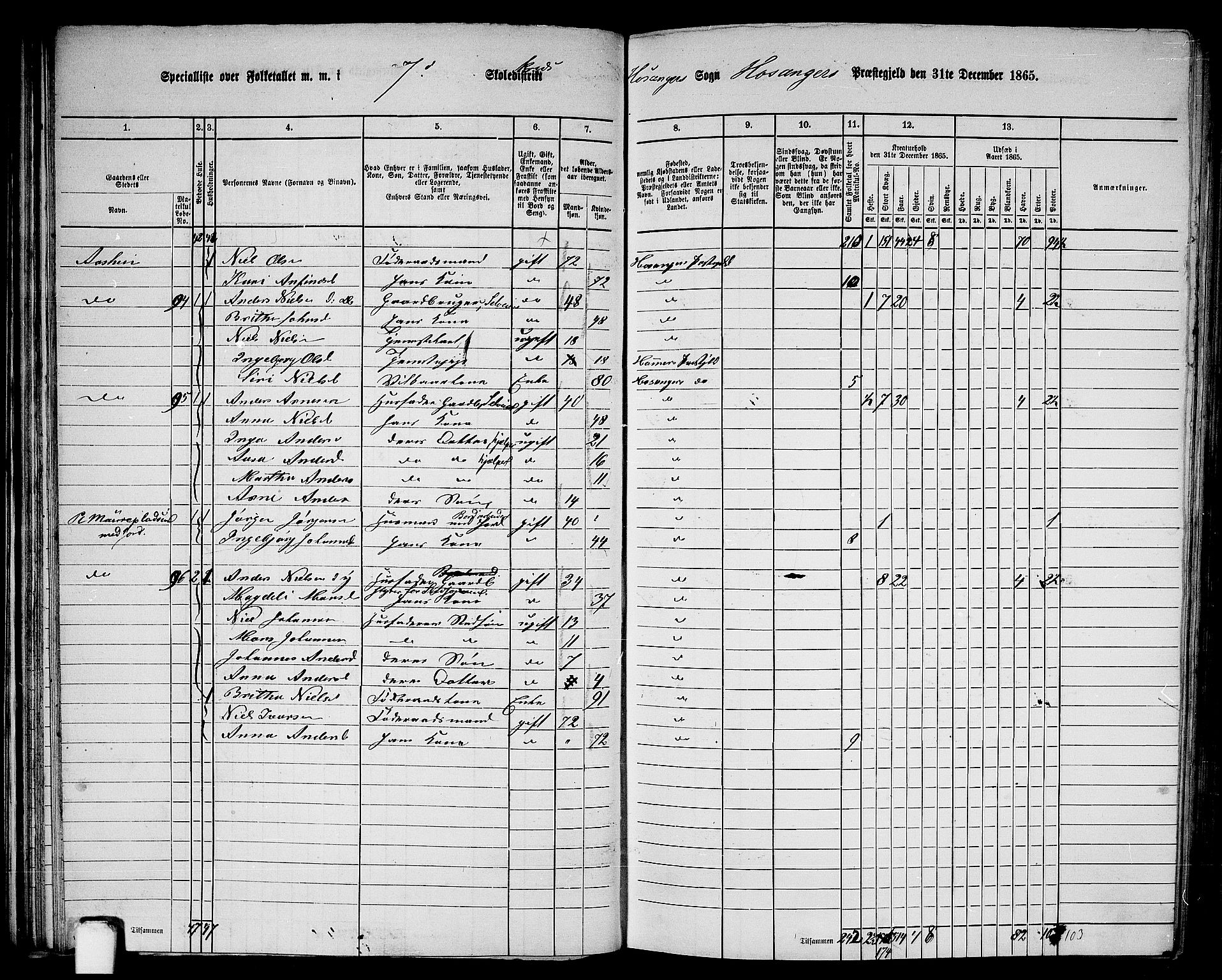 RA, 1865 census for Hosanger, 1865, p. 58