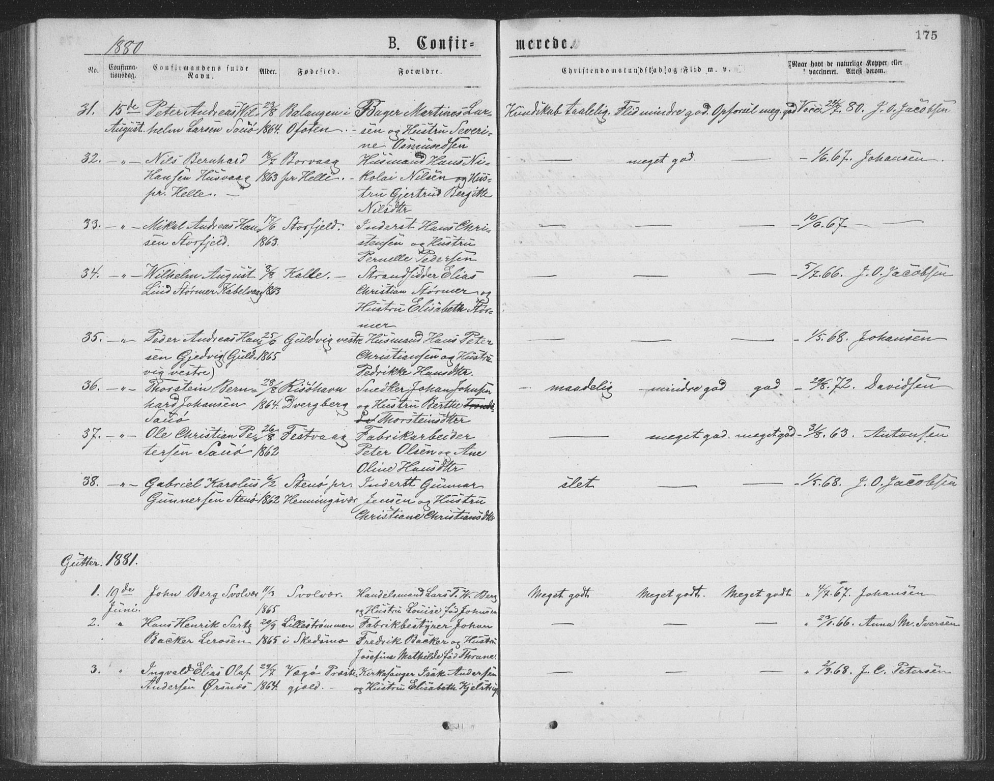 Ministerialprotokoller, klokkerbøker og fødselsregistre - Nordland, AV/SAT-A-1459/874/L1075: Parish register (copy) no. 874C04, 1876-1883, p. 175