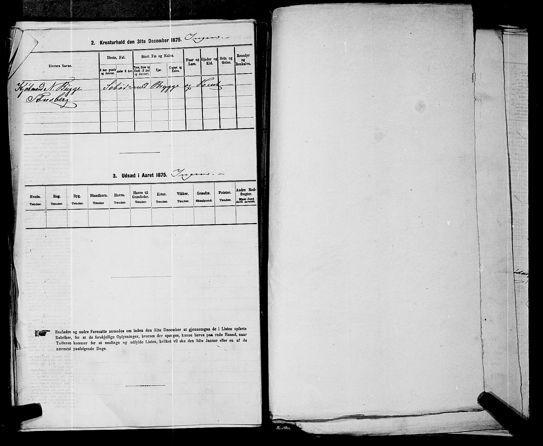 SAKO, 1875 census for 0722P Nøtterøy, 1875, p. 1731