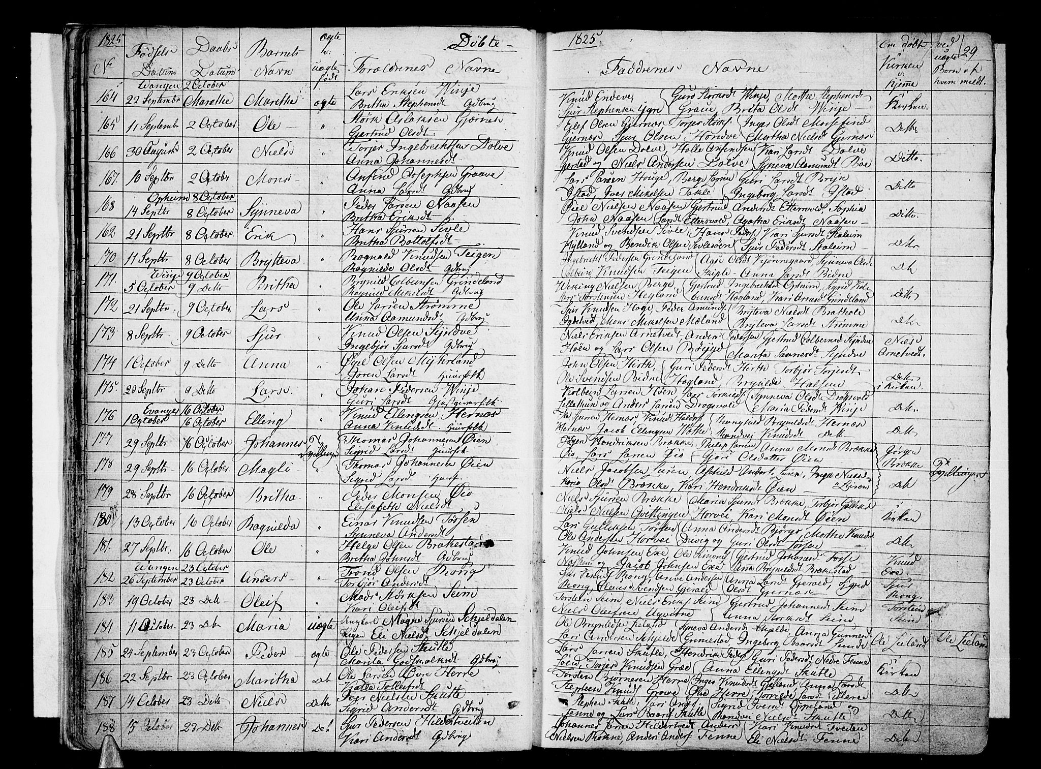 Voss sokneprestembete, SAB/A-79001/H/Haa: Parish register (official) no. A 12, 1823-1837, p. 29