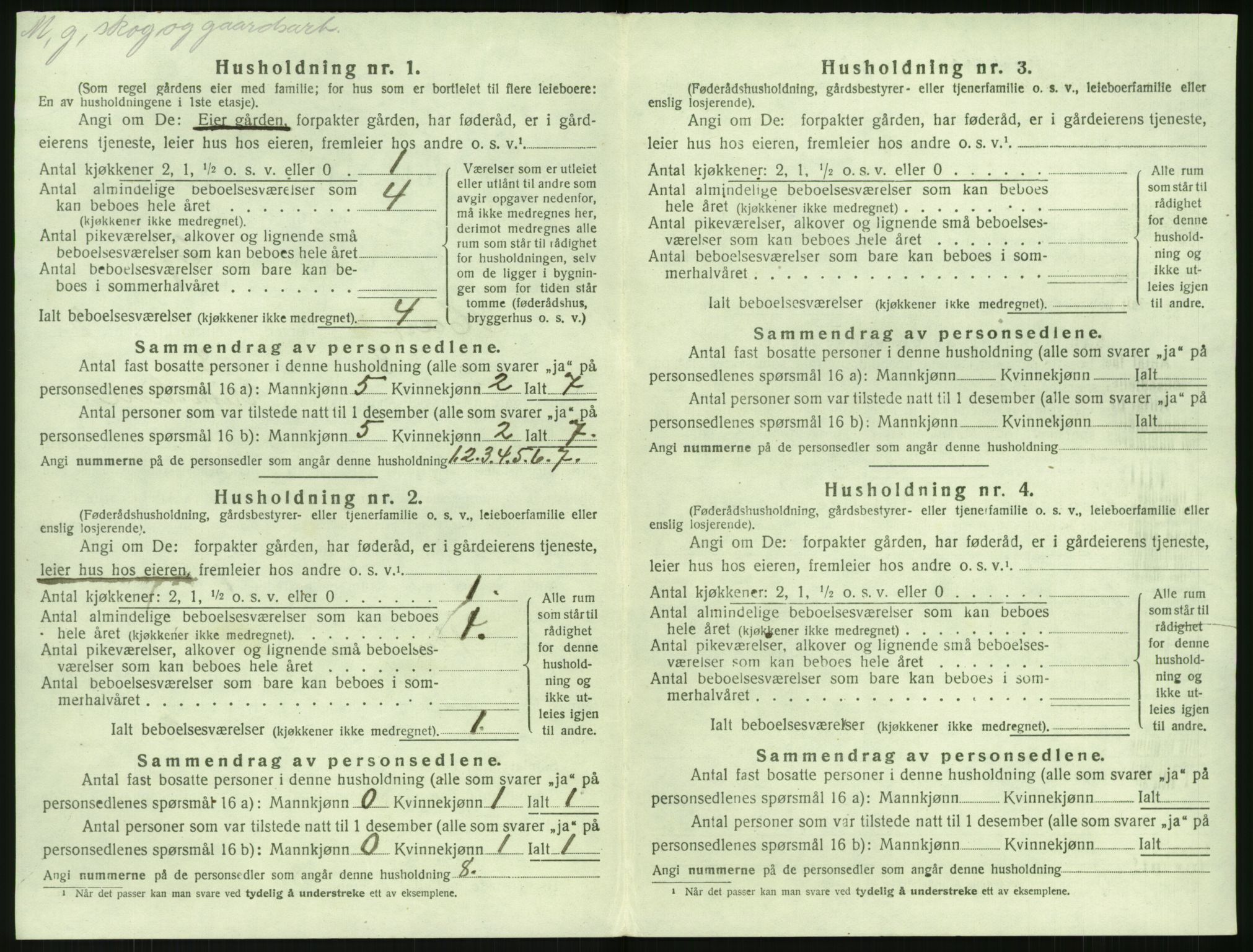 SAK, 1920 census for Holt, 1920, p. 307