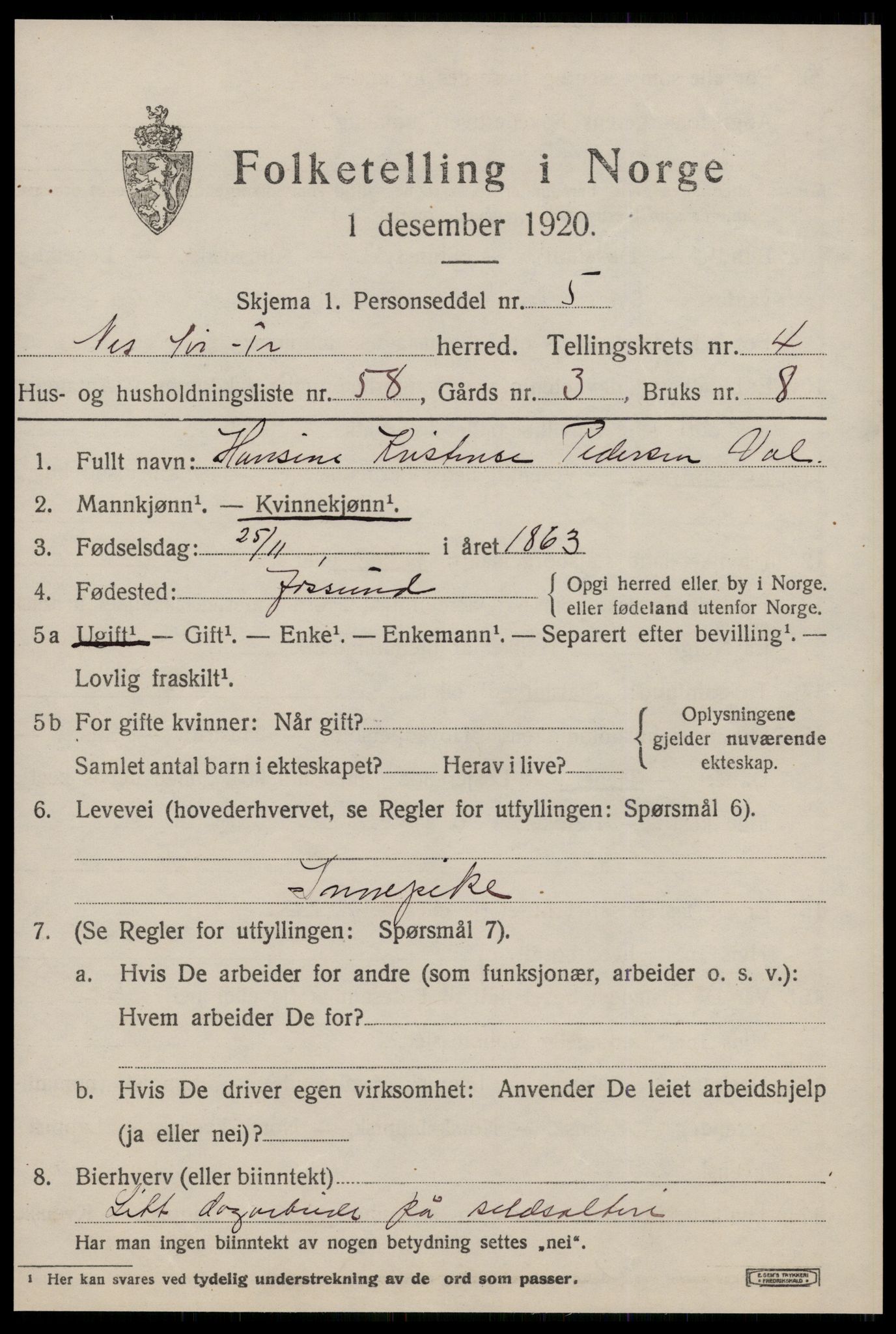 SAT, 1920 census for Nes (ST), 1920, p. 2875