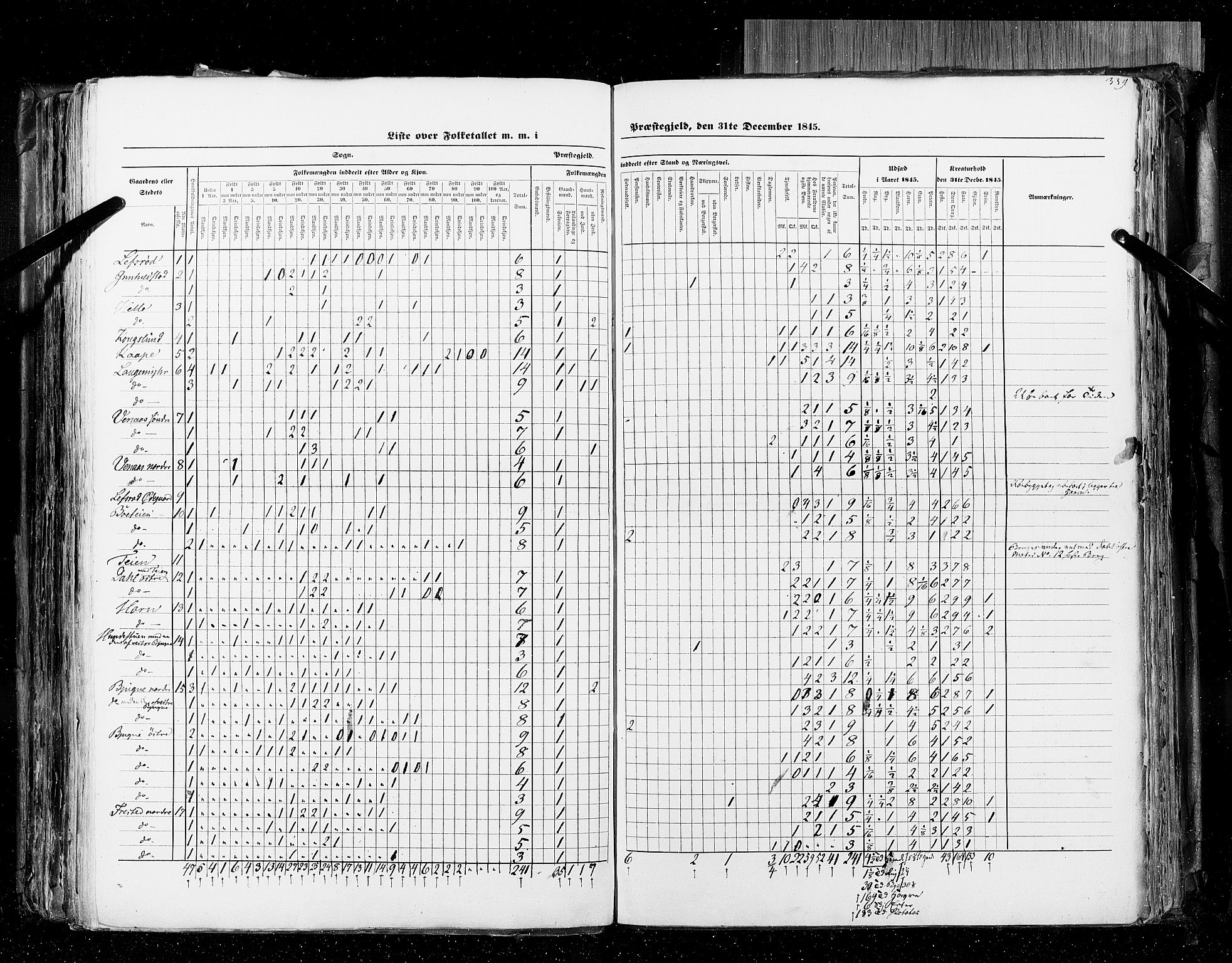 RA, Census 1845, vol. 4: Buskerud amt og Jarlsberg og Larvik amt, 1845, p. 339