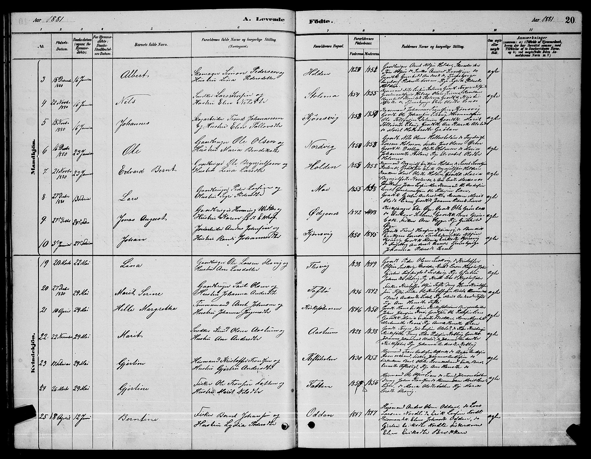 Ministerialprotokoller, klokkerbøker og fødselsregistre - Sør-Trøndelag, AV/SAT-A-1456/630/L0504: Parish register (copy) no. 630C02, 1879-1898, p. 20