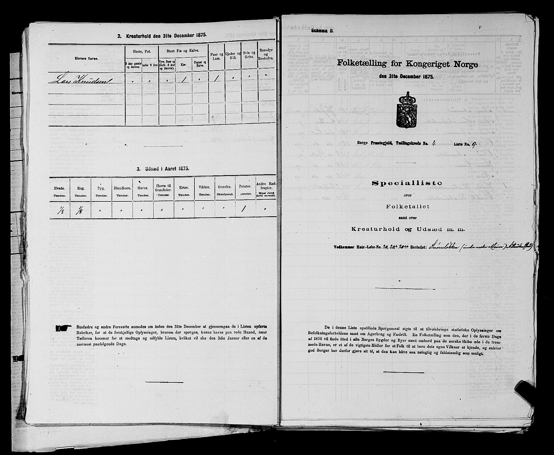 RA, 1875 census for 0113P Borge, 1875, p. 535