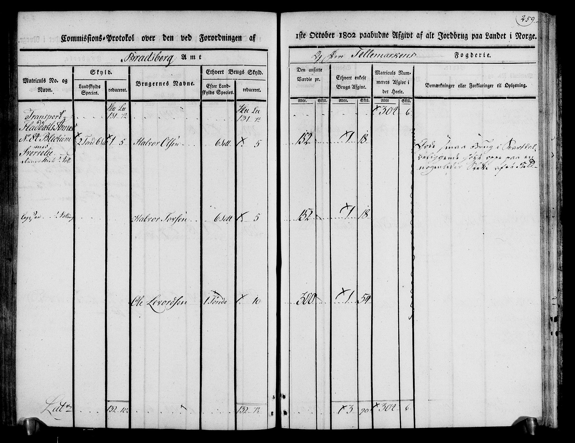 Rentekammeret inntil 1814, Realistisk ordnet avdeling, AV/RA-EA-4070/N/Ne/Nea/L0074: Øvre Telemarken fogderi. Kommisjonsprotokoll for fogderiets østre del - Tinn, Hjartdal og Seljord prestegjeld., 1803, p. 259