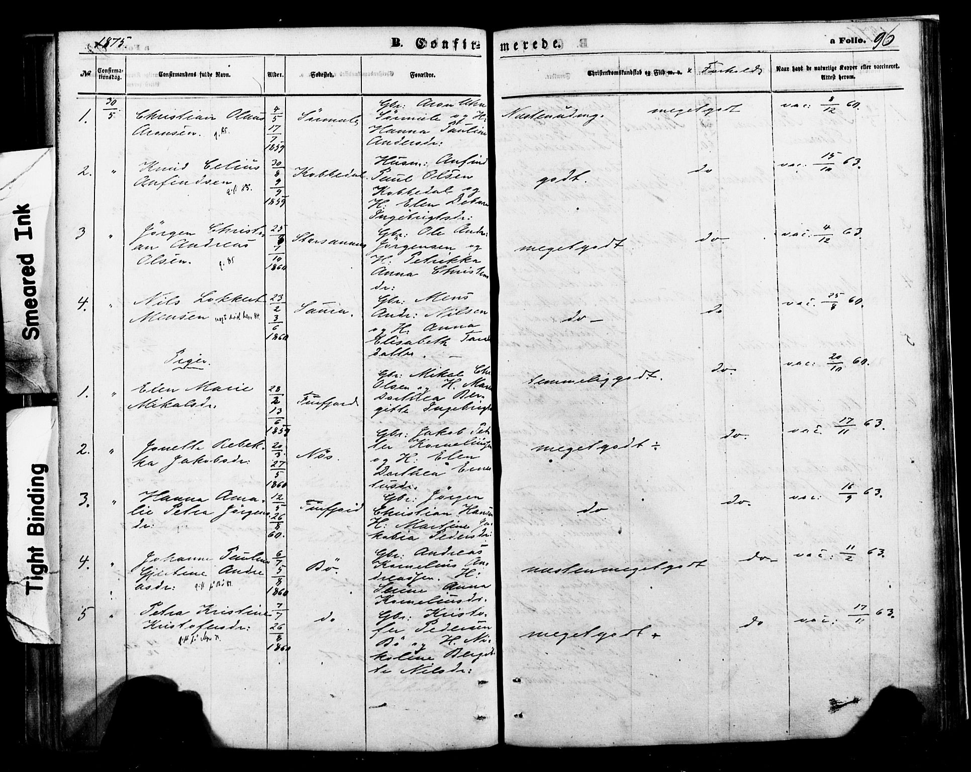 Ministerialprotokoller, klokkerbøker og fødselsregistre - Nordland, AV/SAT-A-1459/898/L1421: Parish register (official) no. 898A01, 1866-1886, p. 96