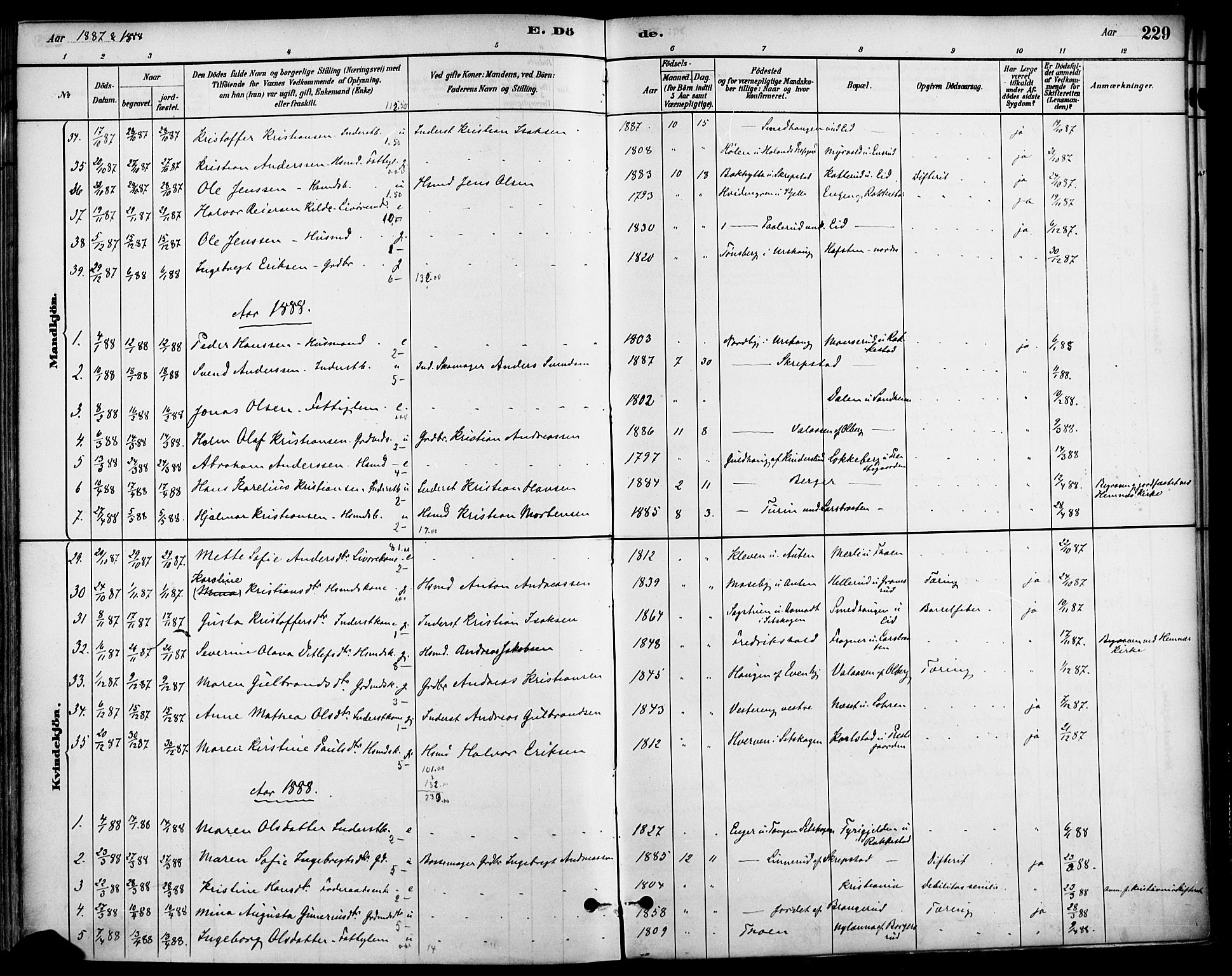 Høland prestekontor Kirkebøker, SAO/A-10346a/F/Fa/L0013: Parish register (official) no. I 13, 1880-1897, p. 229