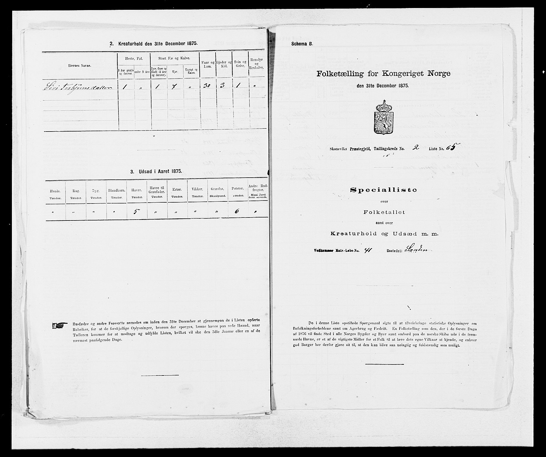 SAB, 1875 census for 1212P Skånevik, 1875, p. 229