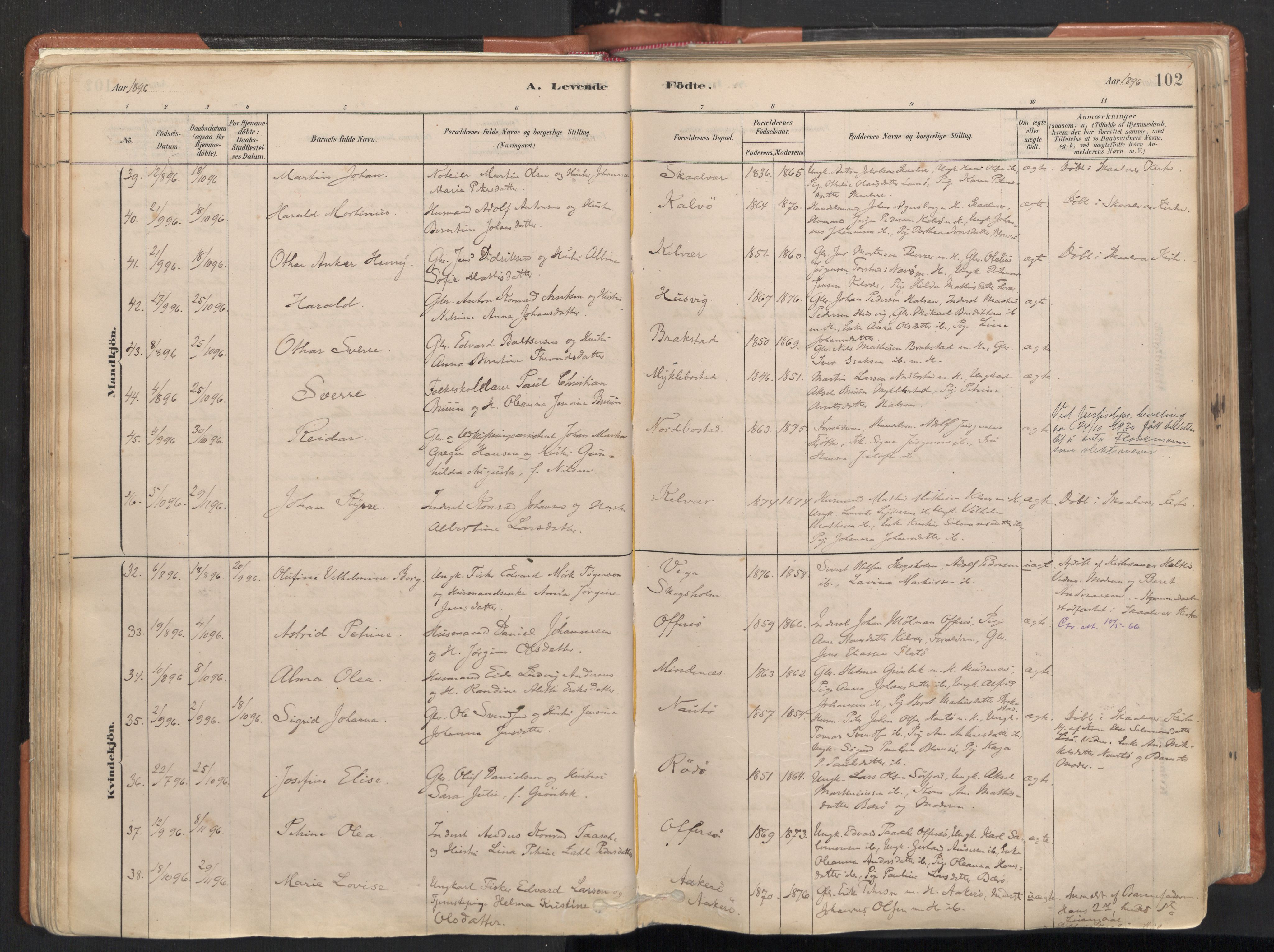 Ministerialprotokoller, klokkerbøker og fødselsregistre - Nordland, SAT/A-1459/817/L0264: Parish register (official) no. 817A04, 1878-1907, p. 102