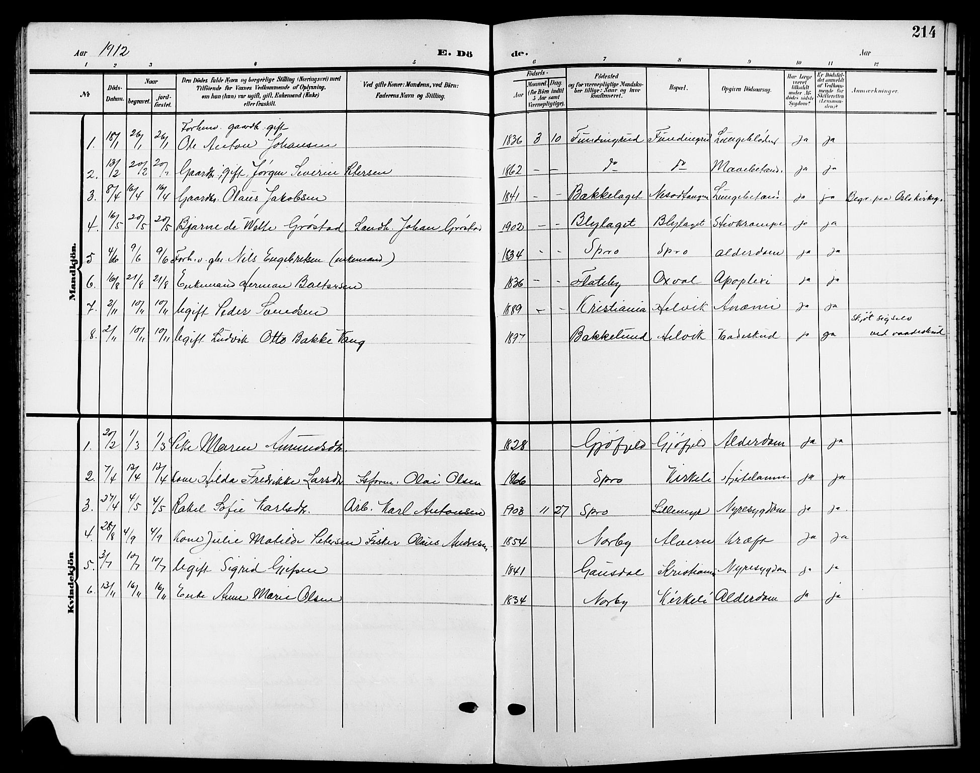 Nesodden prestekontor Kirkebøker, SAO/A-10013/G/Ga/L0002: Parish register (copy) no. I 2, 1905-1924, p. 214