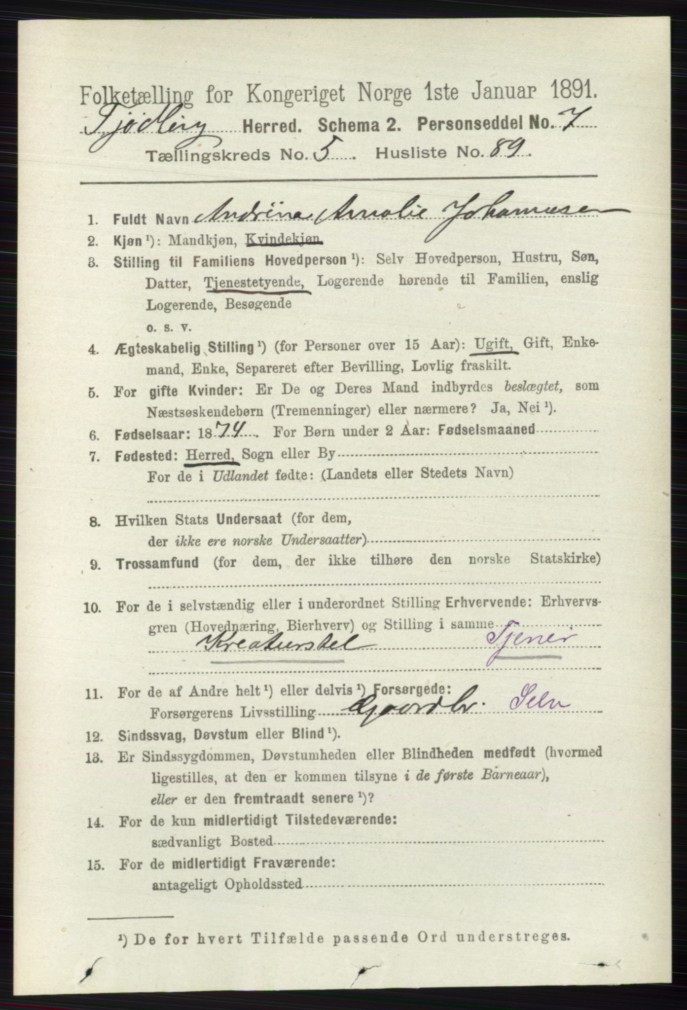 RA, 1891 census for 0725 Tjølling, 1891, p. 2521