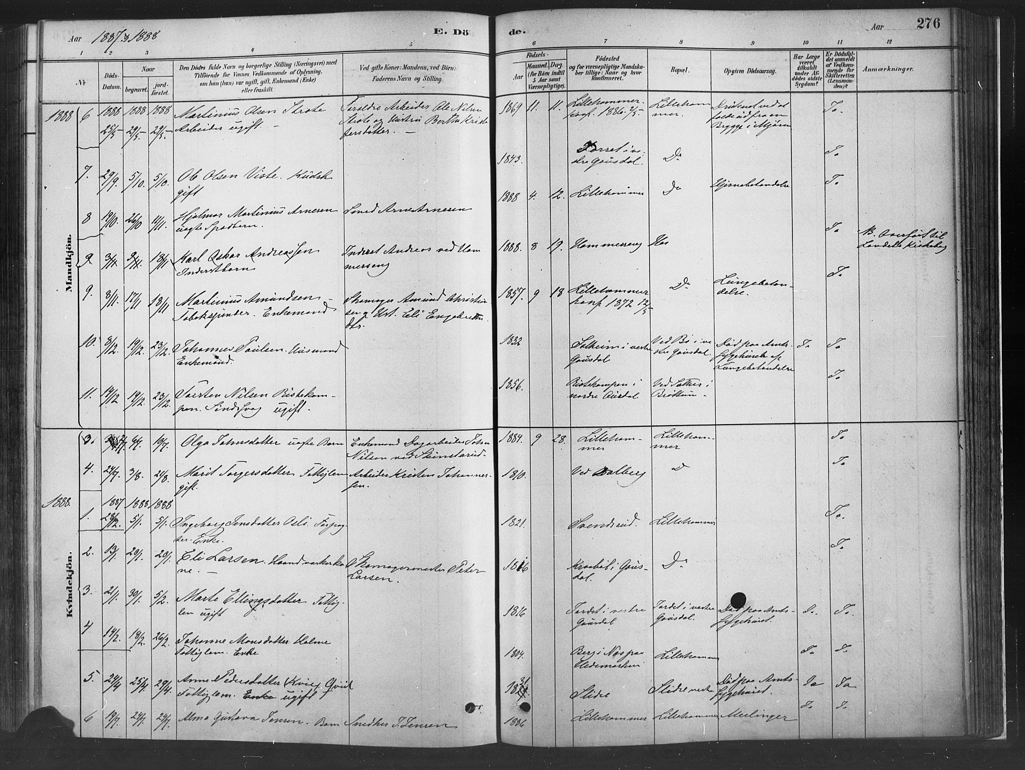 Fåberg prestekontor, SAH/PREST-086/H/Ha/Haa/L0010: Parish register (official) no. 10, 1879-1900, p. 276