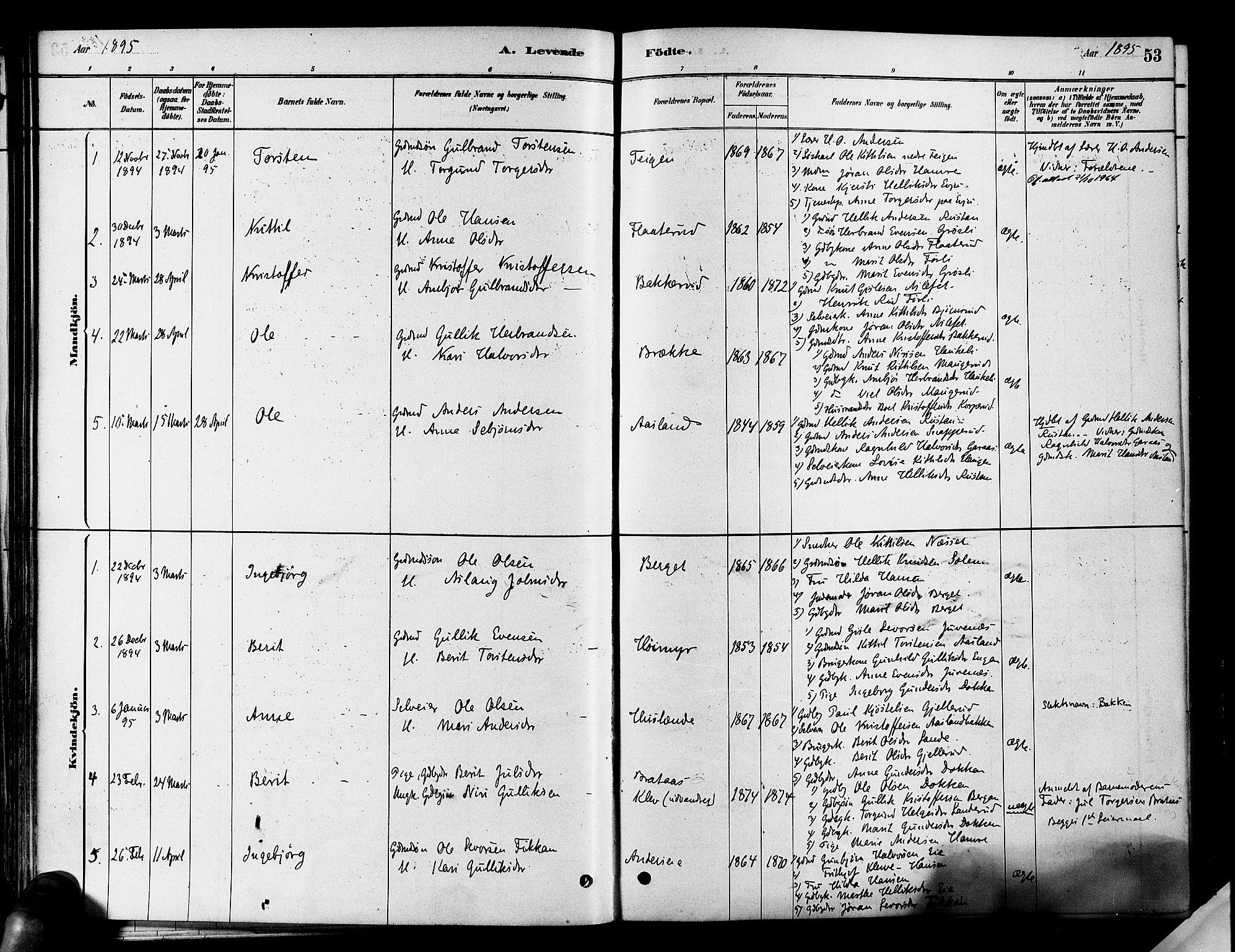 Flesberg kirkebøker, SAKO/A-18/F/Fa/L0008: Parish register (official) no. I 8, 1879-1899, p. 53
