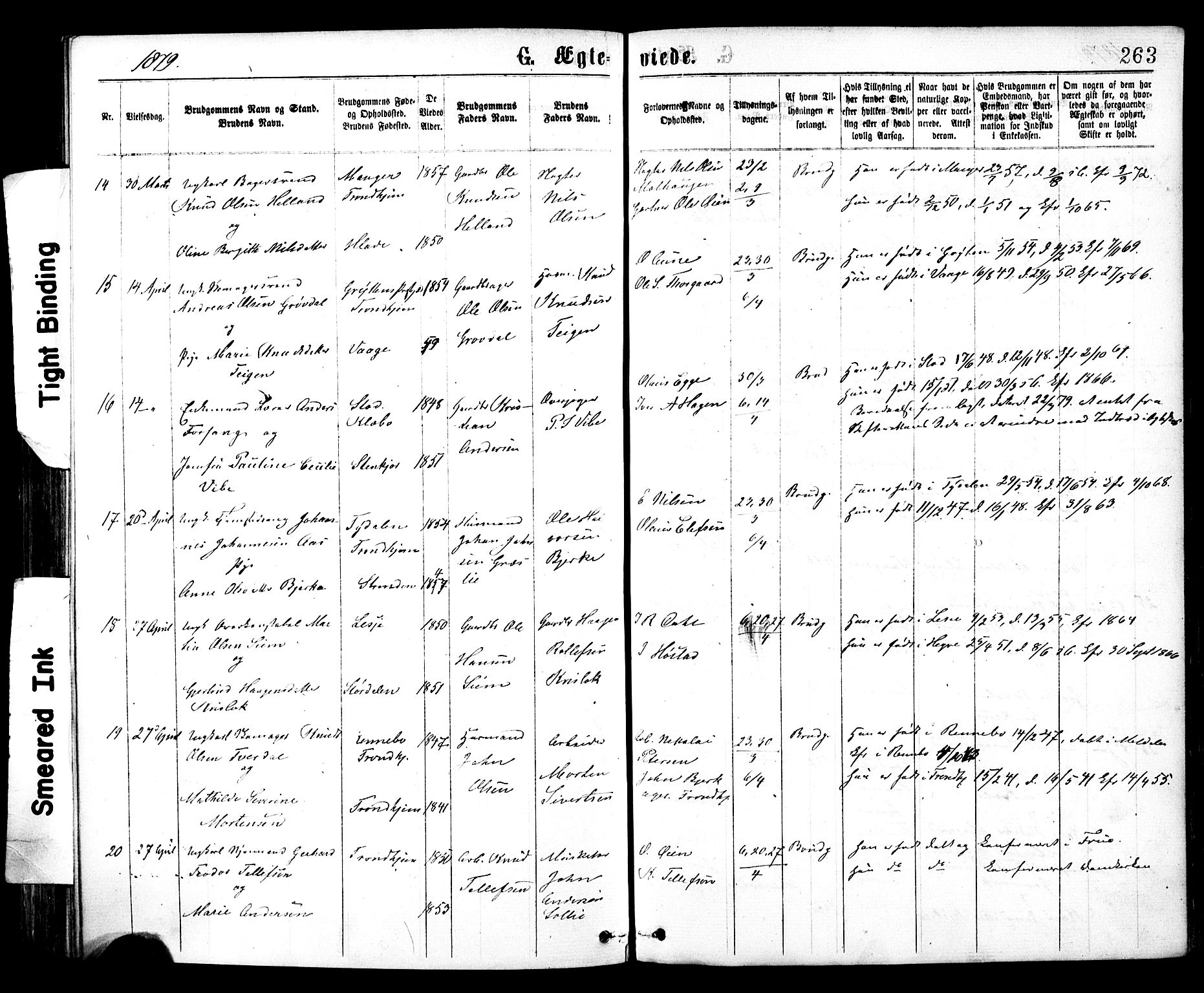 Ministerialprotokoller, klokkerbøker og fødselsregistre - Sør-Trøndelag, SAT/A-1456/602/L0118: Parish register (official) no. 602A16, 1873-1879, p. 263