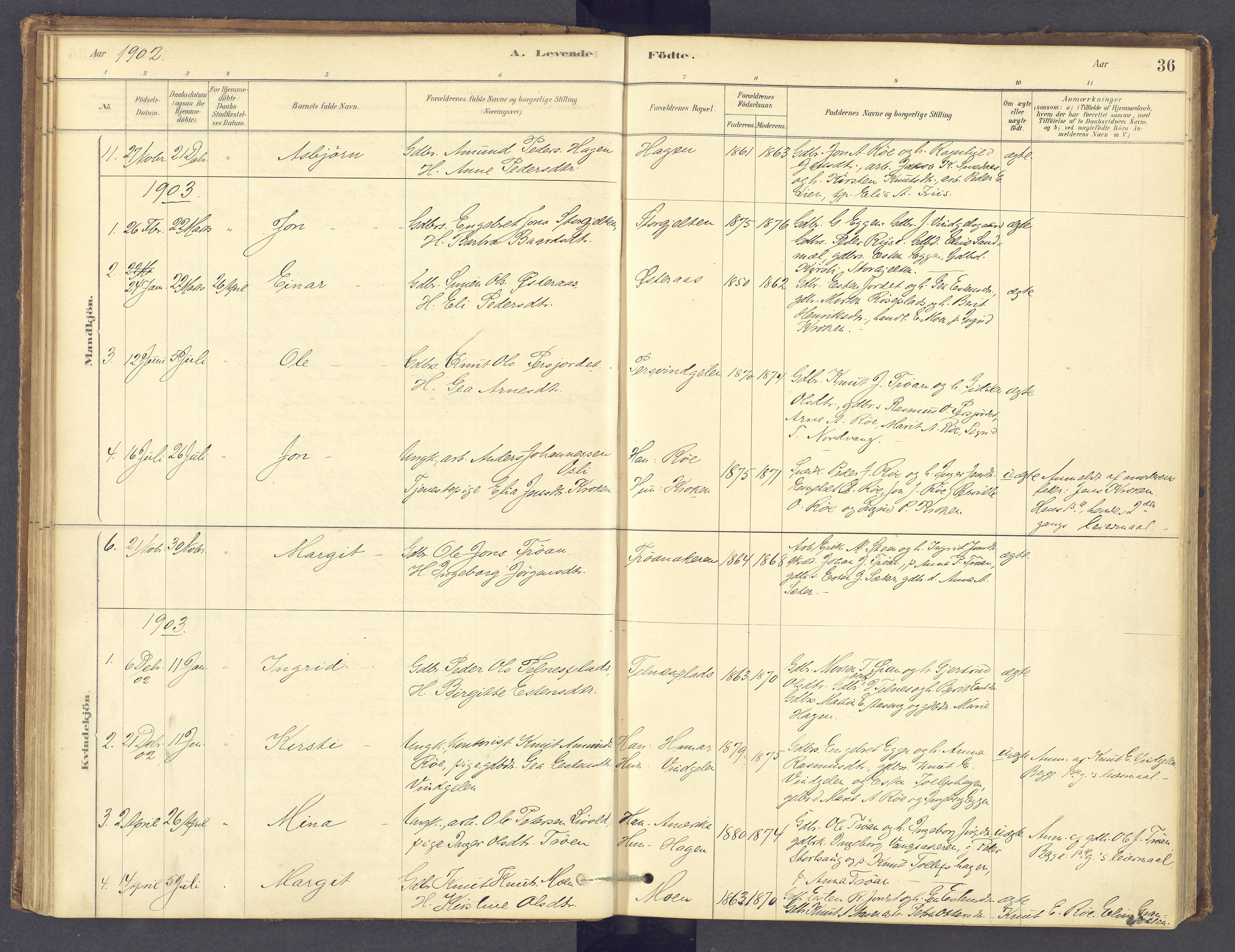 Tolga prestekontor, SAH/PREST-062/K/L0012: Parish register (official) no. 12, 1877-1925, p. 36