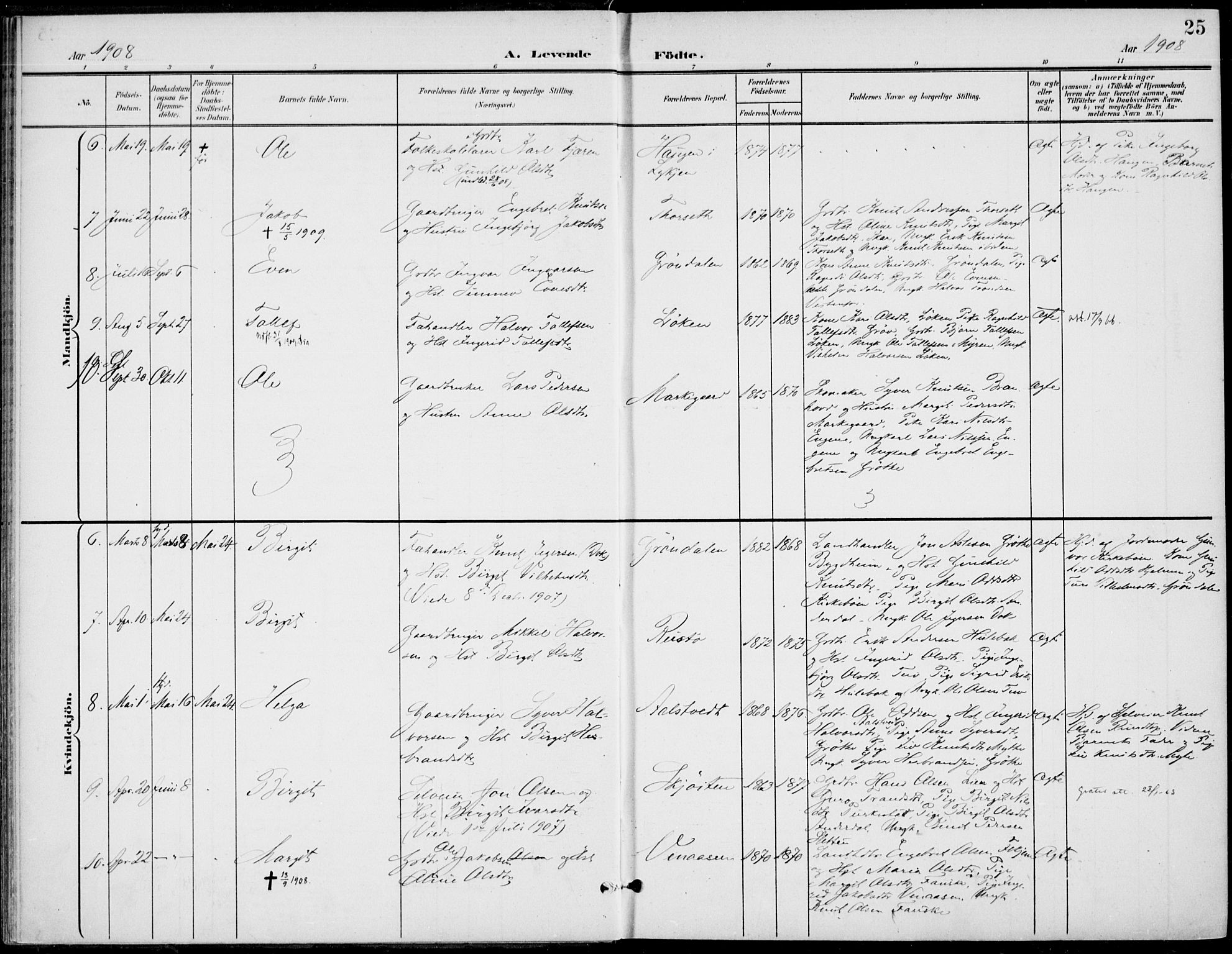 Gol kirkebøker, AV/SAKO-A-226/F/Fb/L0002: Parish register (official) no. II 2, 1900-1921, p. 25