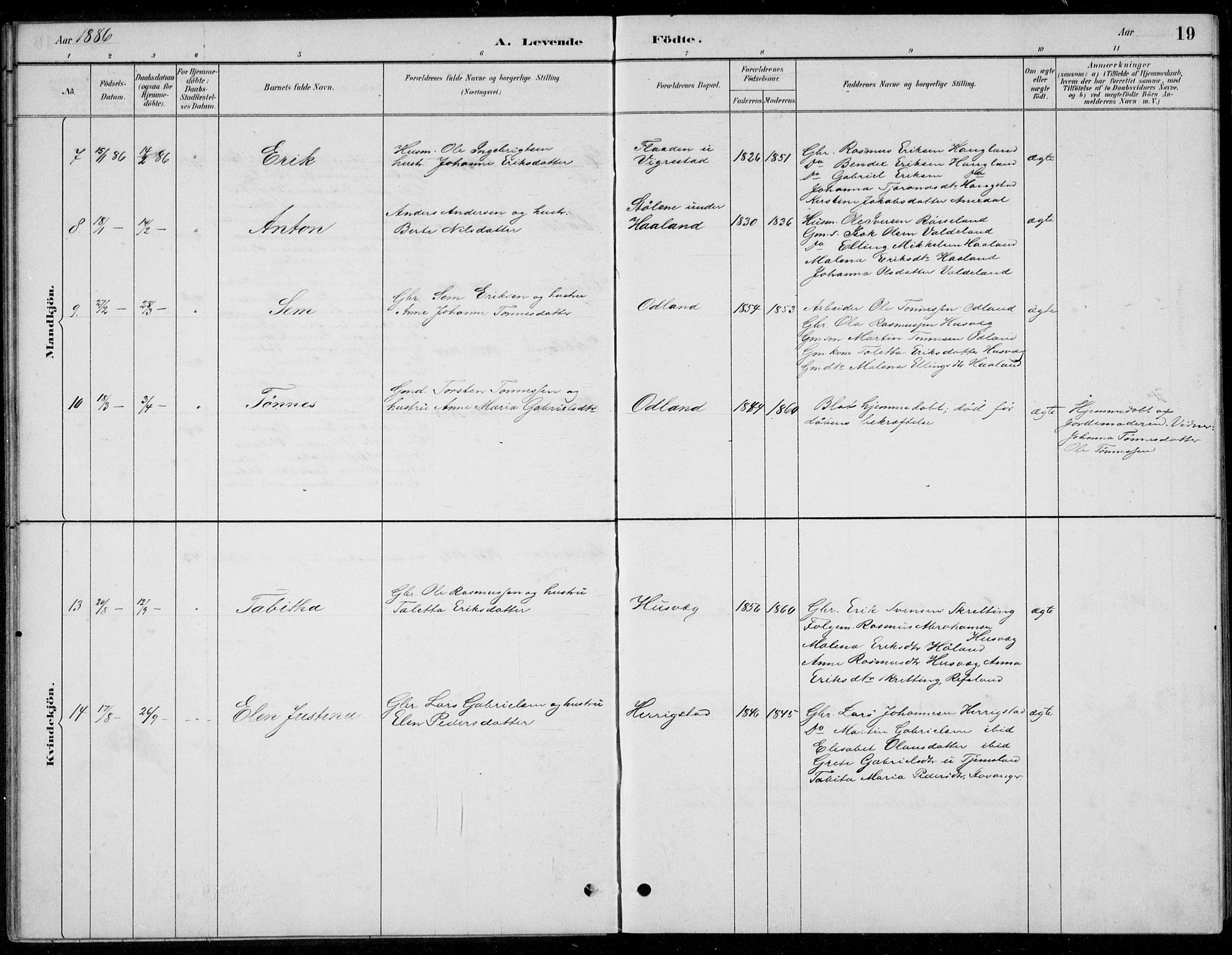 Hå sokneprestkontor, SAST/A-101801/001/30BB/L0004: Parish register (copy) no. B 4, 1883-1899, p. 19