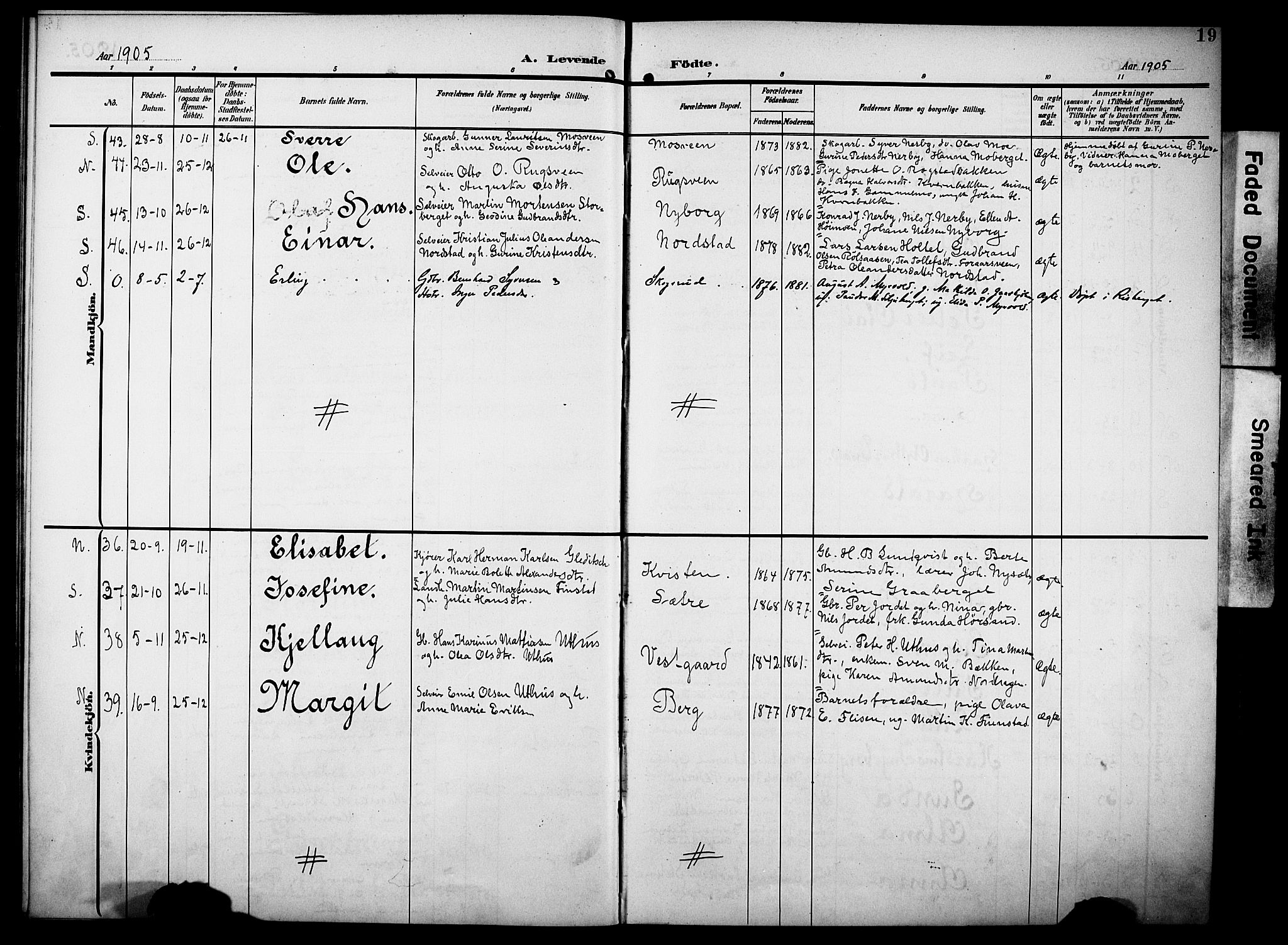 Elverum prestekontor, SAH/PREST-044/H/Ha/Haa/L0016: Parish register (official) no. 16, 1903-1912, p. 19