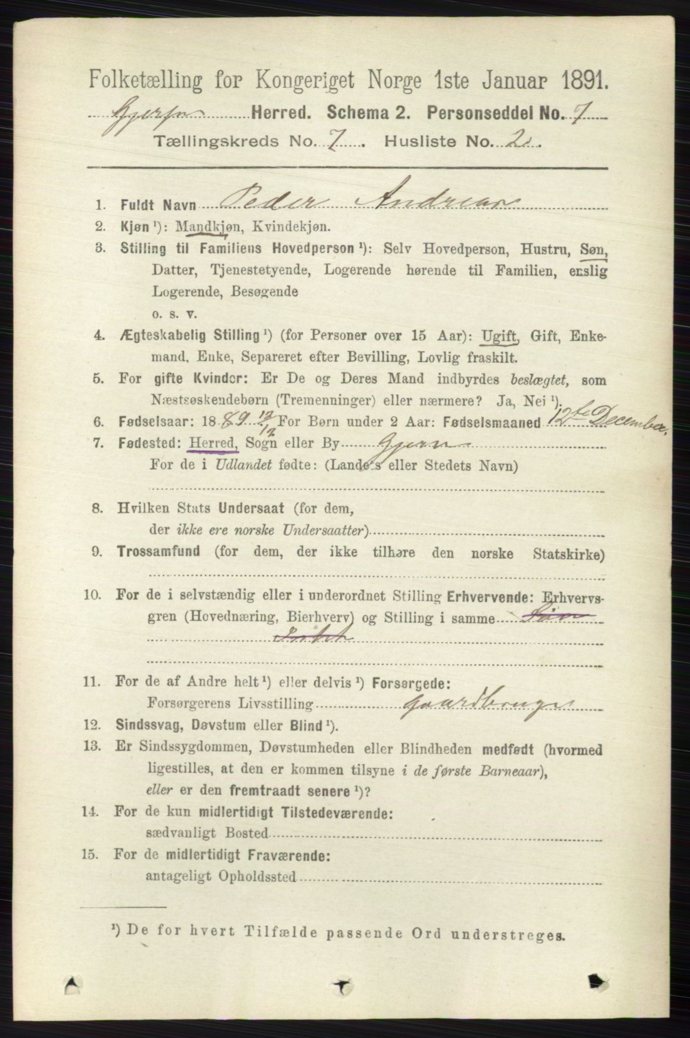 RA, 1891 census for 0812 Gjerpen, 1891, p. 3413