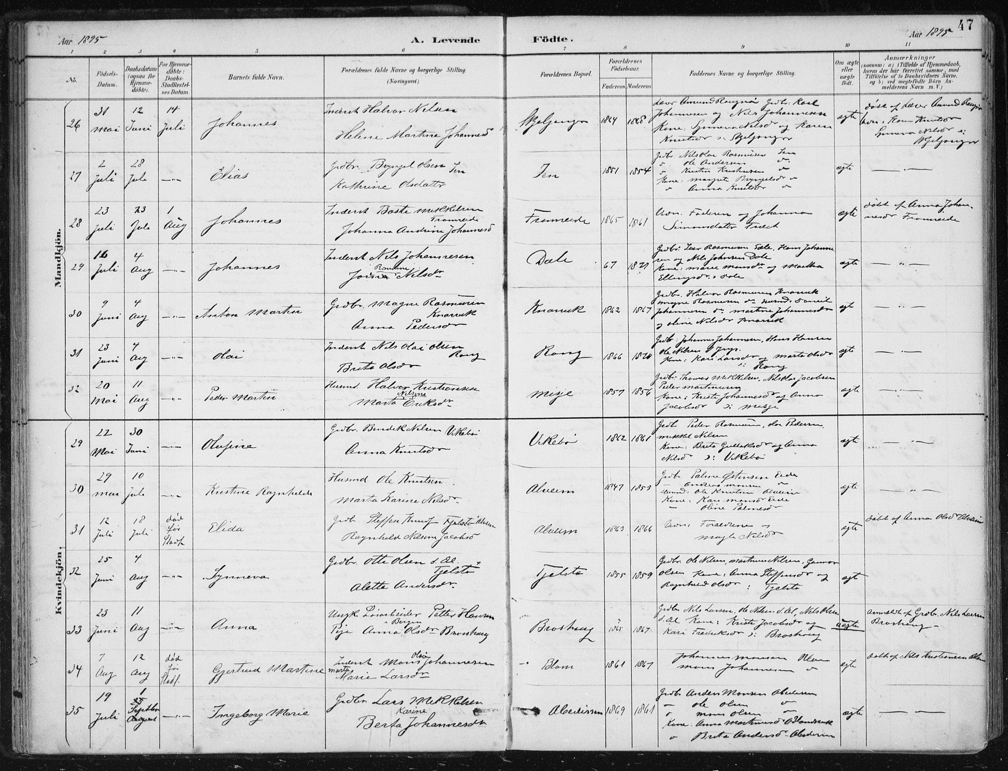 Herdla Sokneprestembete, SAB/A-75701/H/Haa: Parish register (official) no. A 4, 1891-1905, p. 47