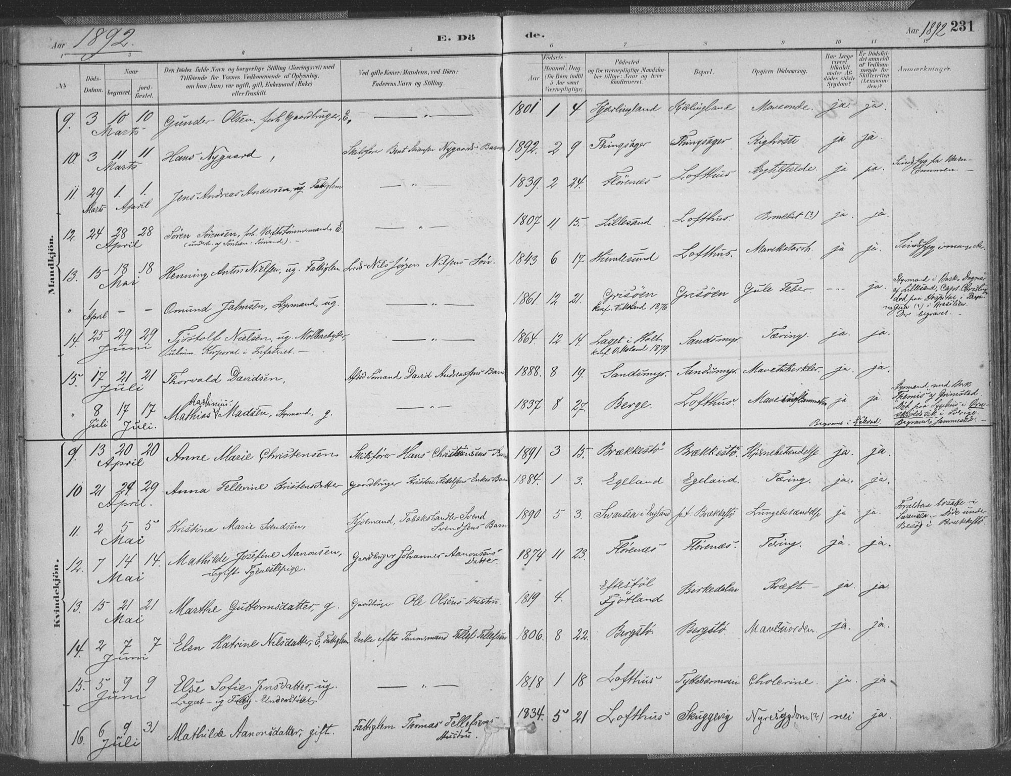 Vestre Moland sokneprestkontor, AV/SAK-1111-0046/F/Fa/Fab/L0009: Parish register (official) no. A 9, 1884-1899, p. 231