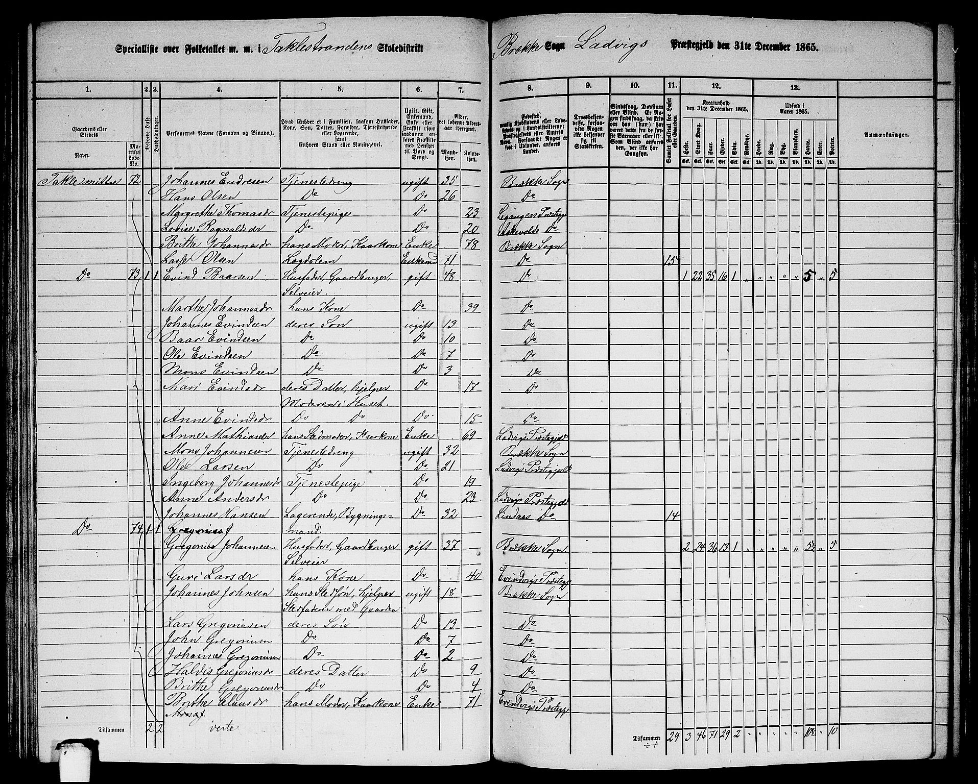 RA, 1865 census for Lavik, 1865, p. 114