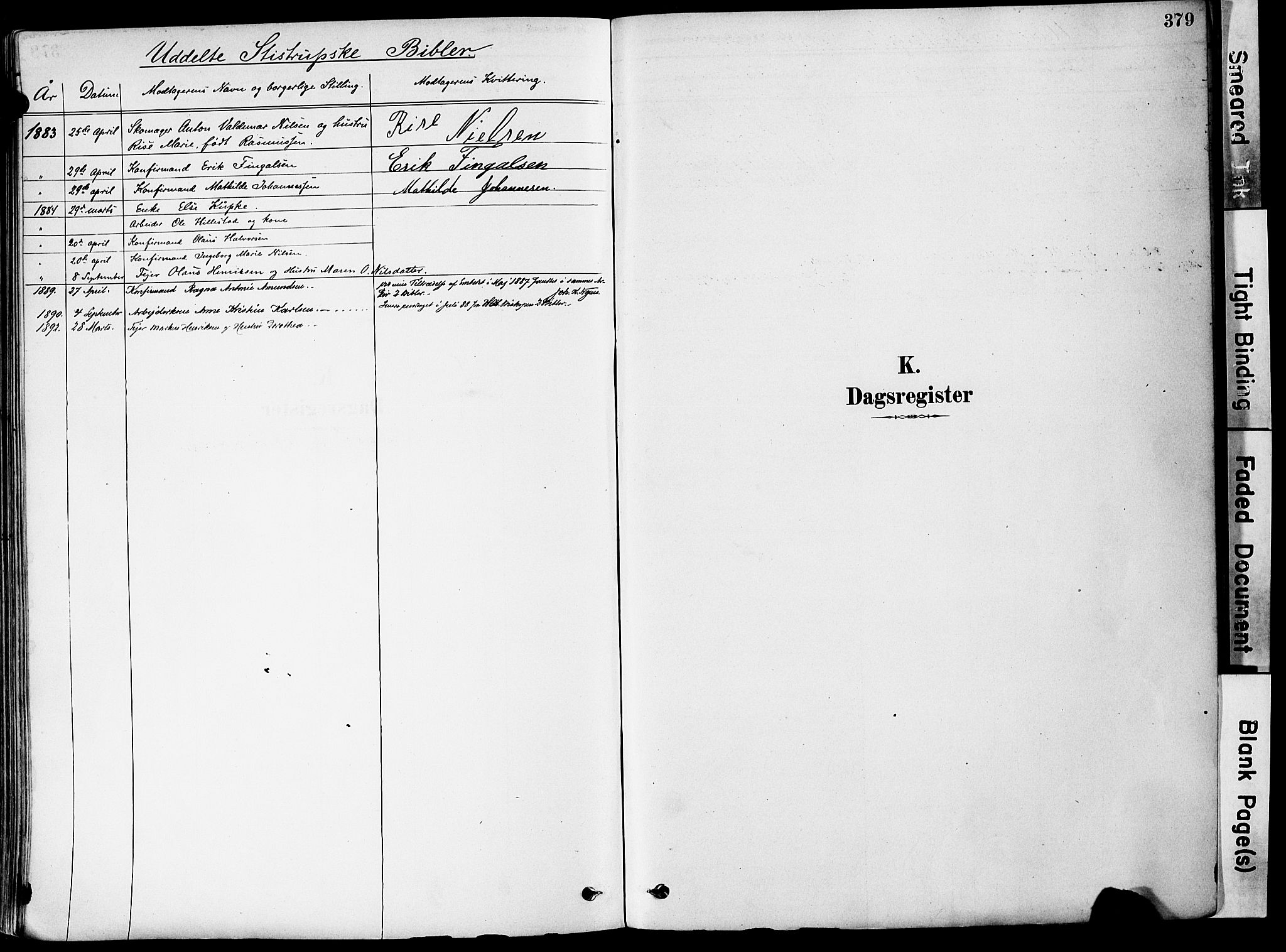 Holmestrand kirkebøker, AV/SAKO-A-346/F/Fa/L0004: Parish register (official) no. 4, 1880-1901, p. 379