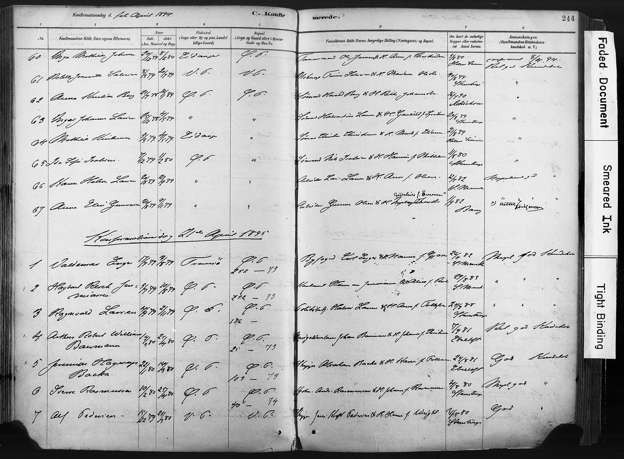 Porsgrunn kirkebøker , SAKO/A-104/F/Fa/L0008: Parish register (official) no. 8, 1878-1895, p. 244