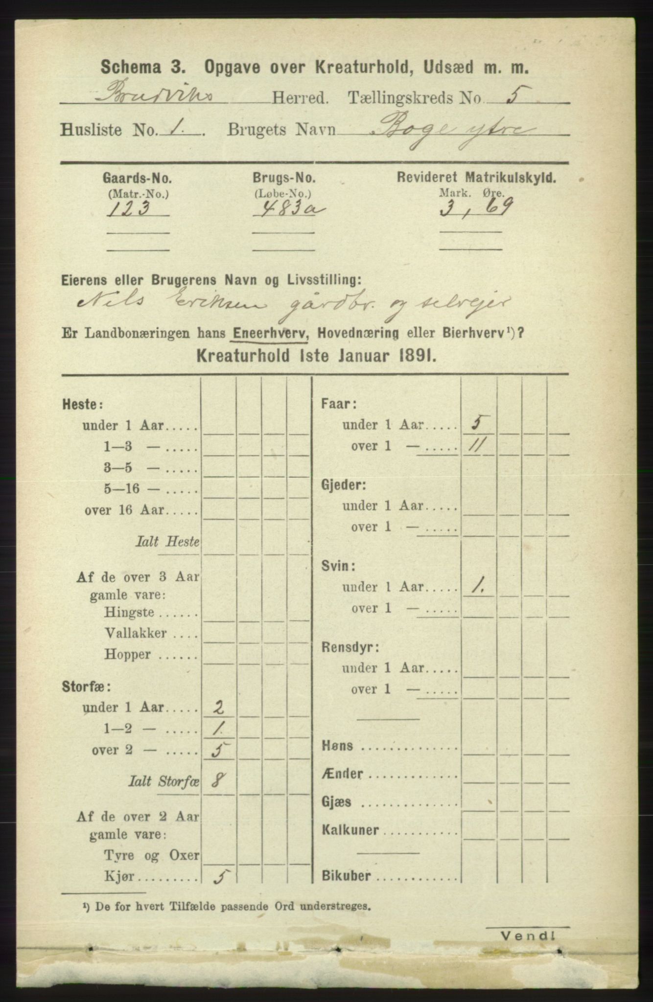 RA, 1891 census for 1251 Bruvik, 1891, p. 4441