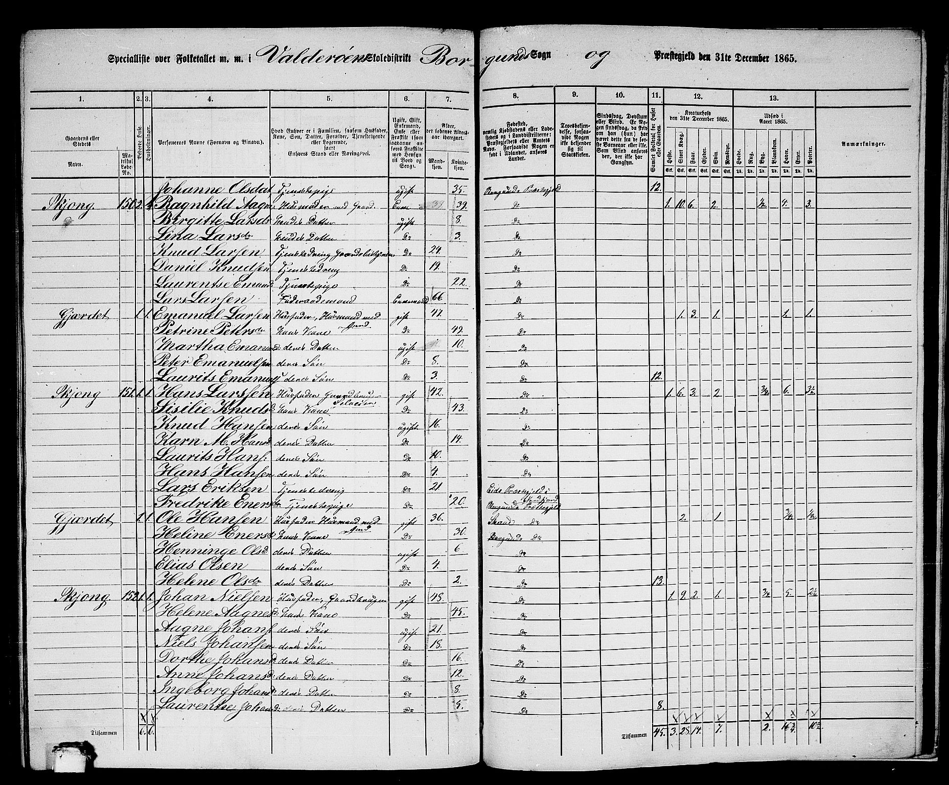 RA, 1865 census for Borgund, 1865, p. 250