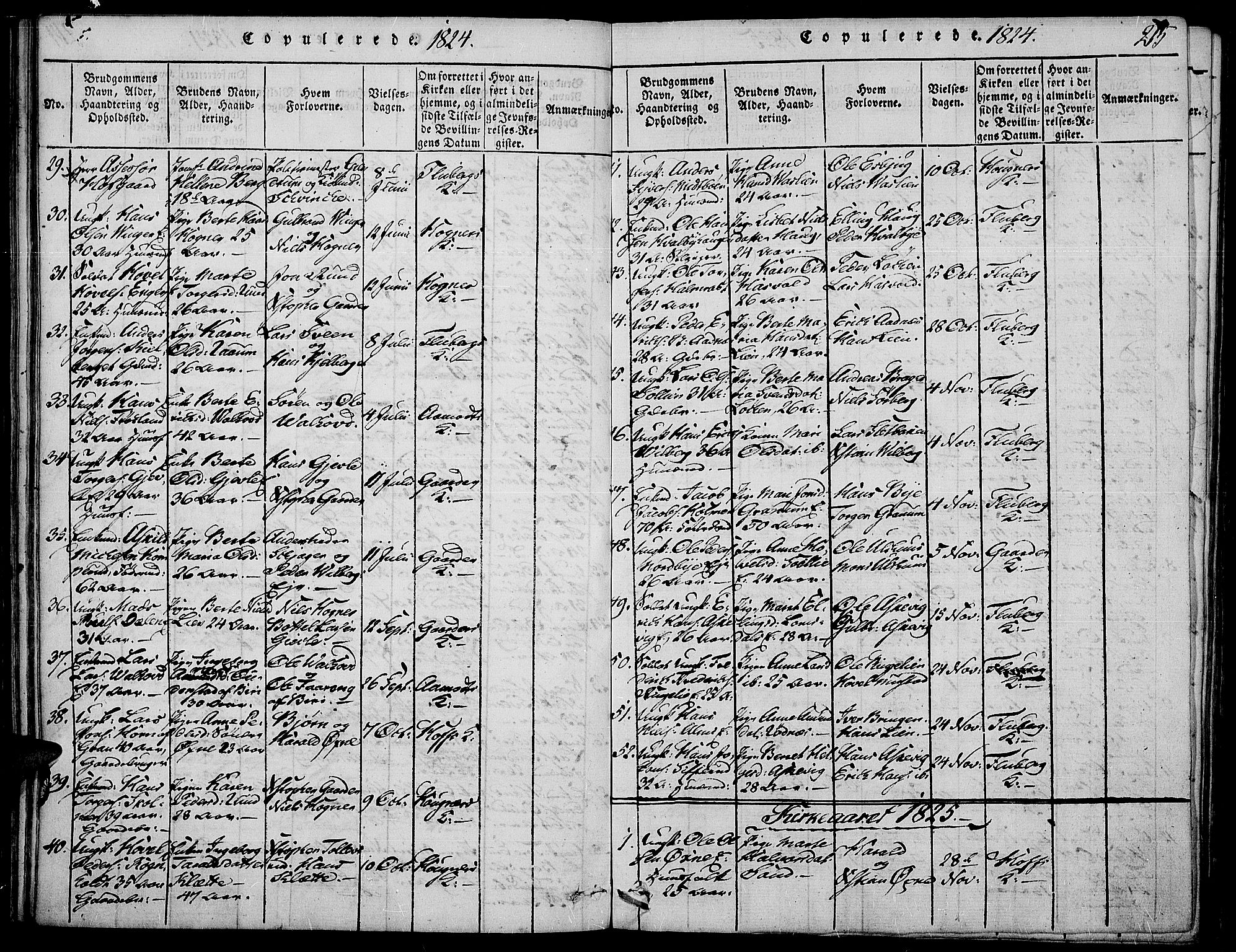 Land prestekontor, SAH/PREST-120/H/Ha/Haa/L0007: Parish register (official) no. 7, 1814-1830, p. 215