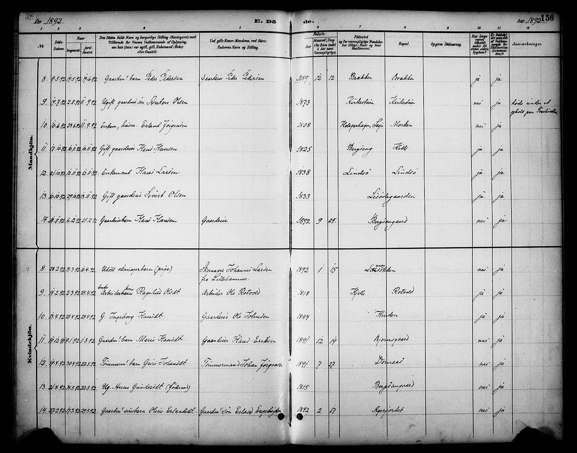 Dovre prestekontor, AV/SAH-PREST-066/H/Ha/Haa/L0003: Parish register (official) no. 3, 1891-1901, p. 156