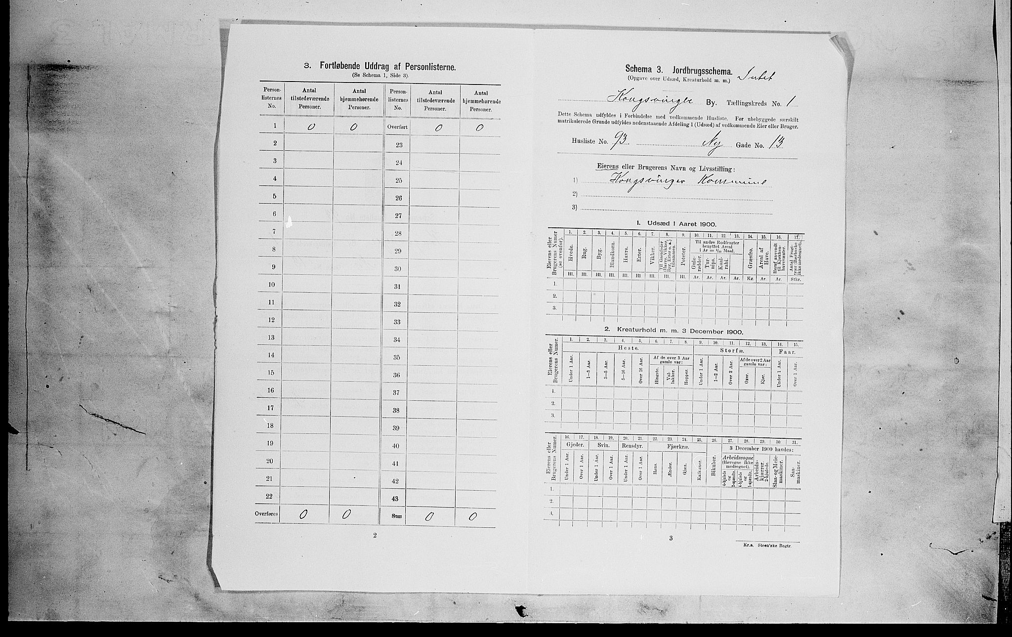 SAH, 1900 census for Kongsvinger, 1900, p. 17