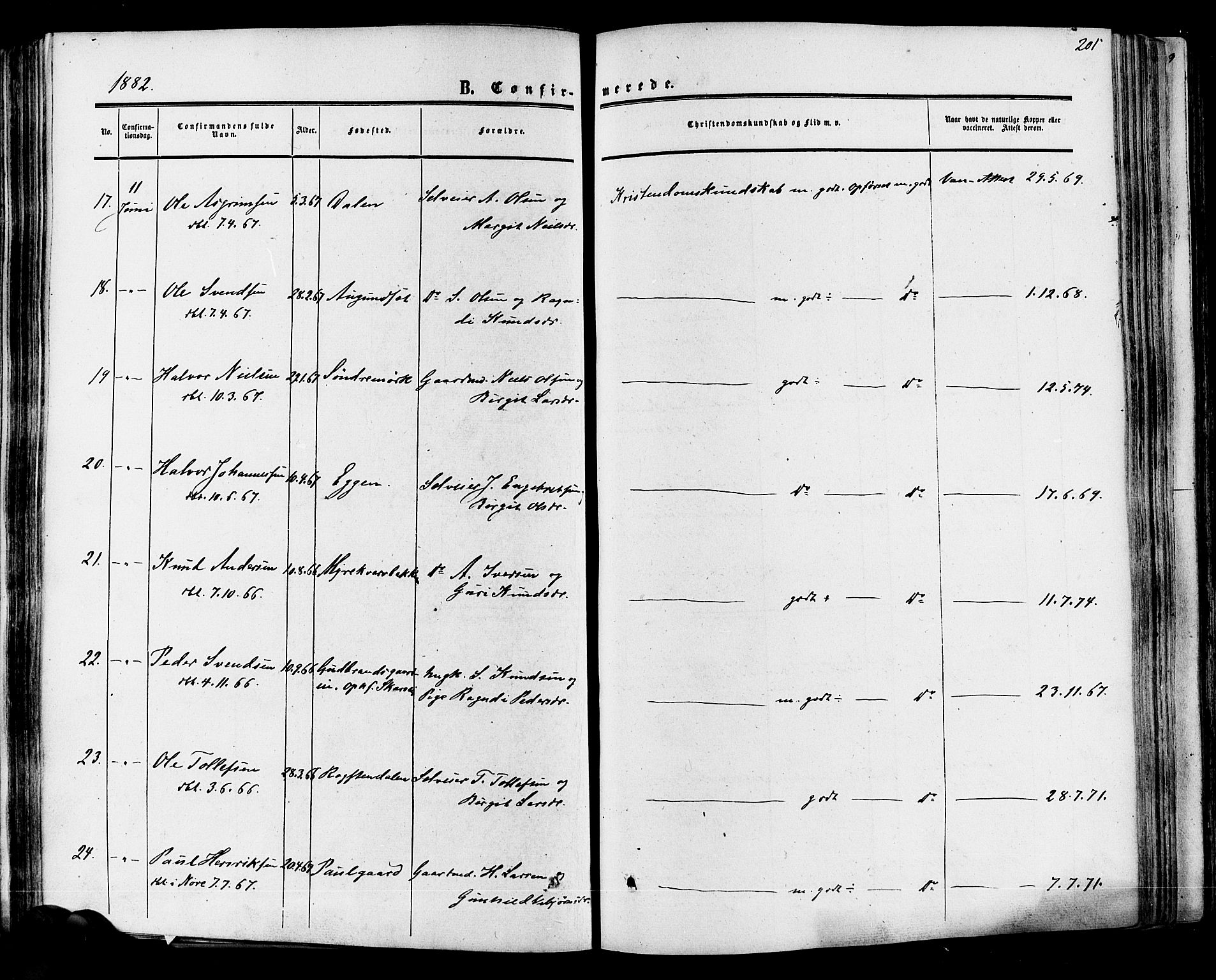 Hol kirkebøker, AV/SAKO-A-227/F/Fa/L0002: Parish register (official) no. I 2, 1870-1886, p. 201