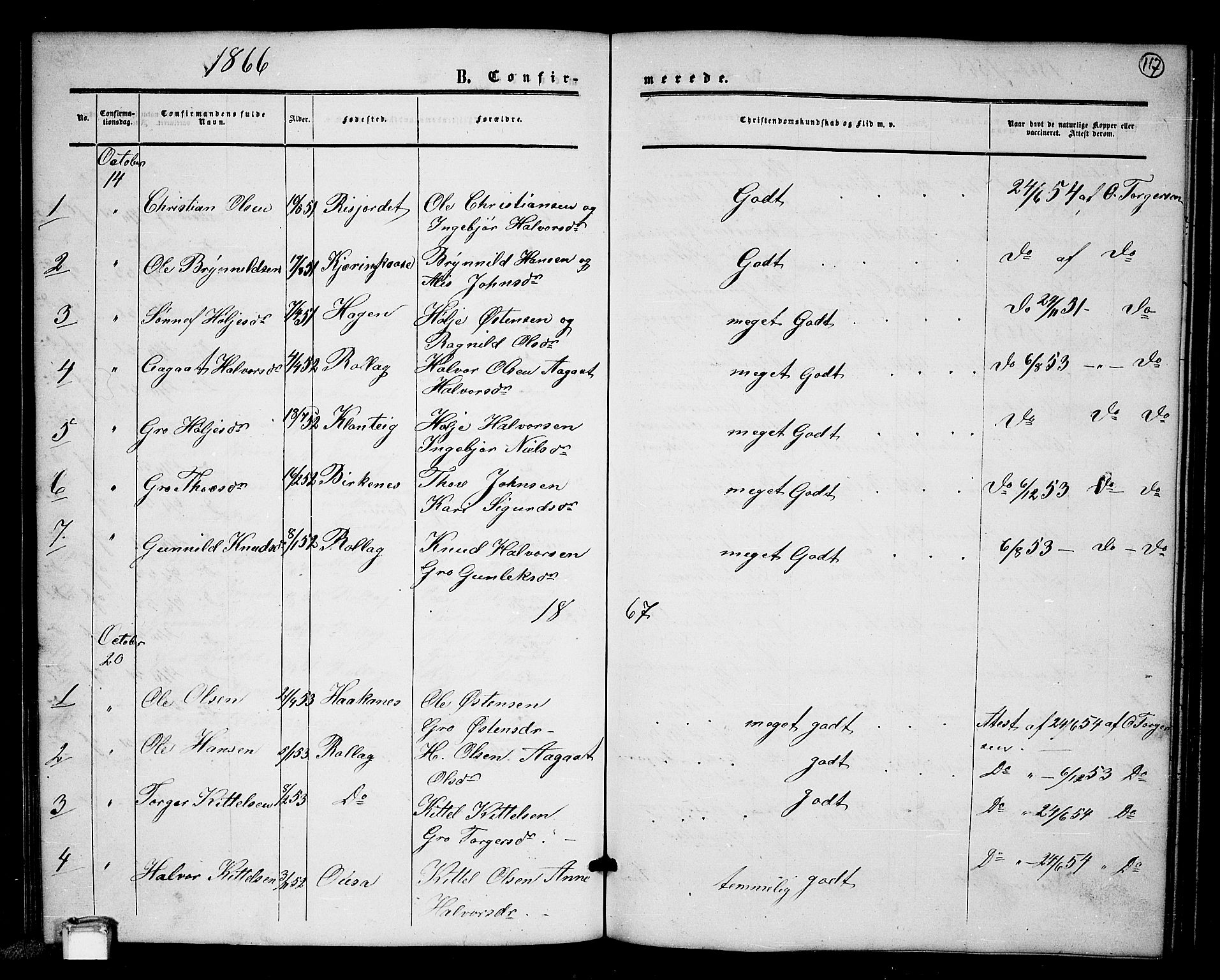 Tinn kirkebøker, SAKO/A-308/G/Gb/L0002: Parish register (copy) no. II 2, 1851-1886, p. 117