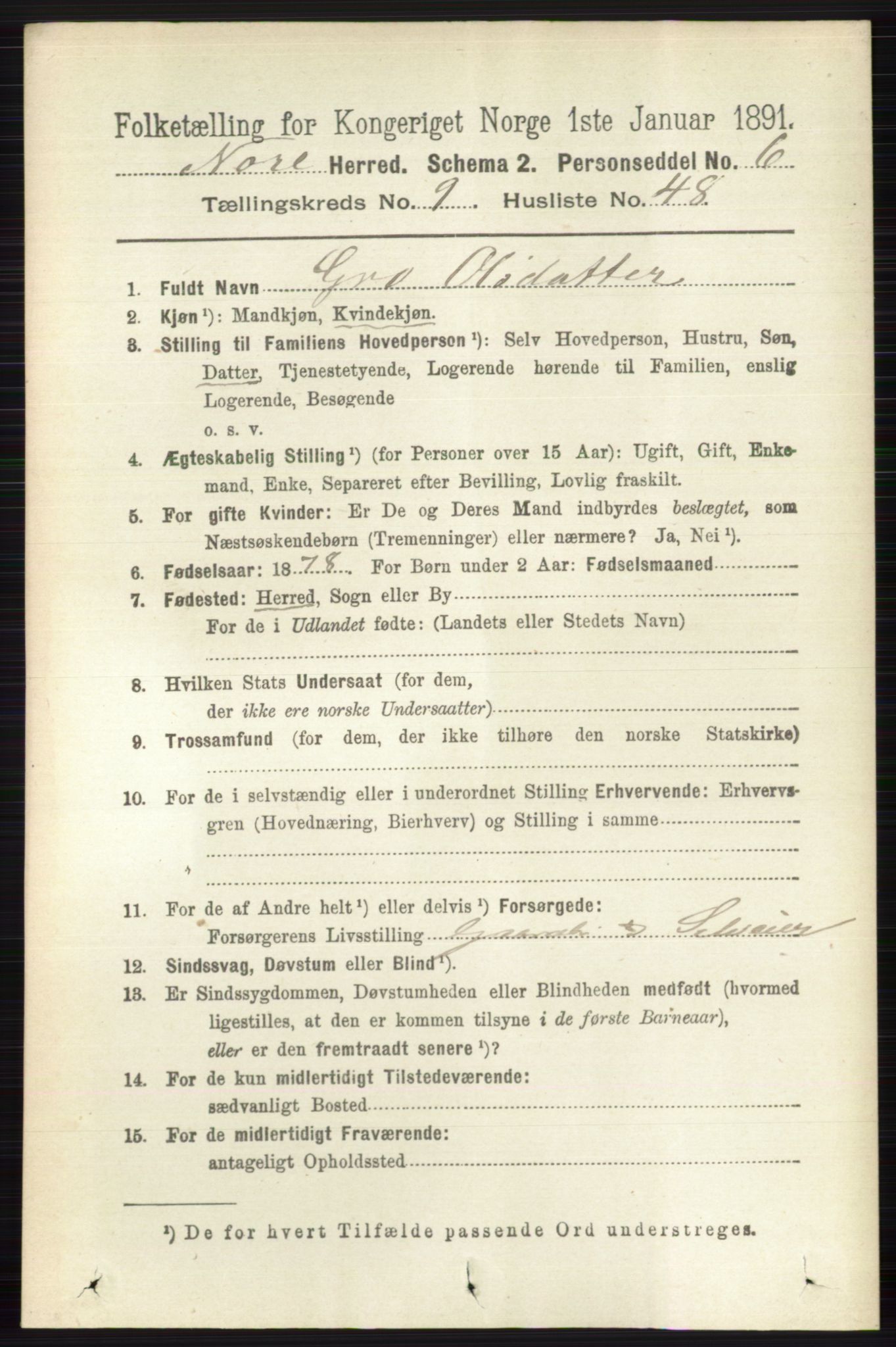RA, 1891 census for 0633 Nore, 1891, p. 3494